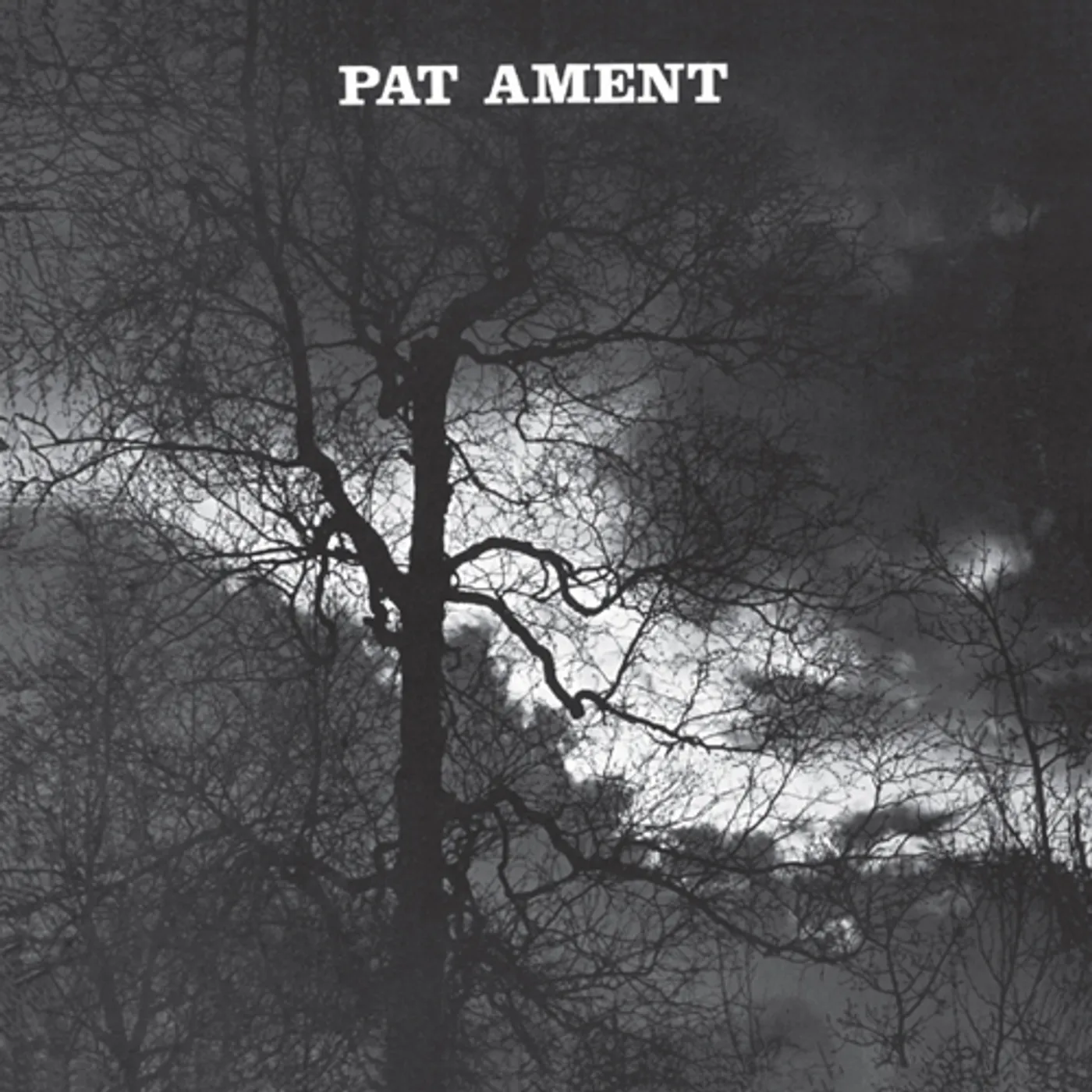 Pat Ament Songs Vinyl Record