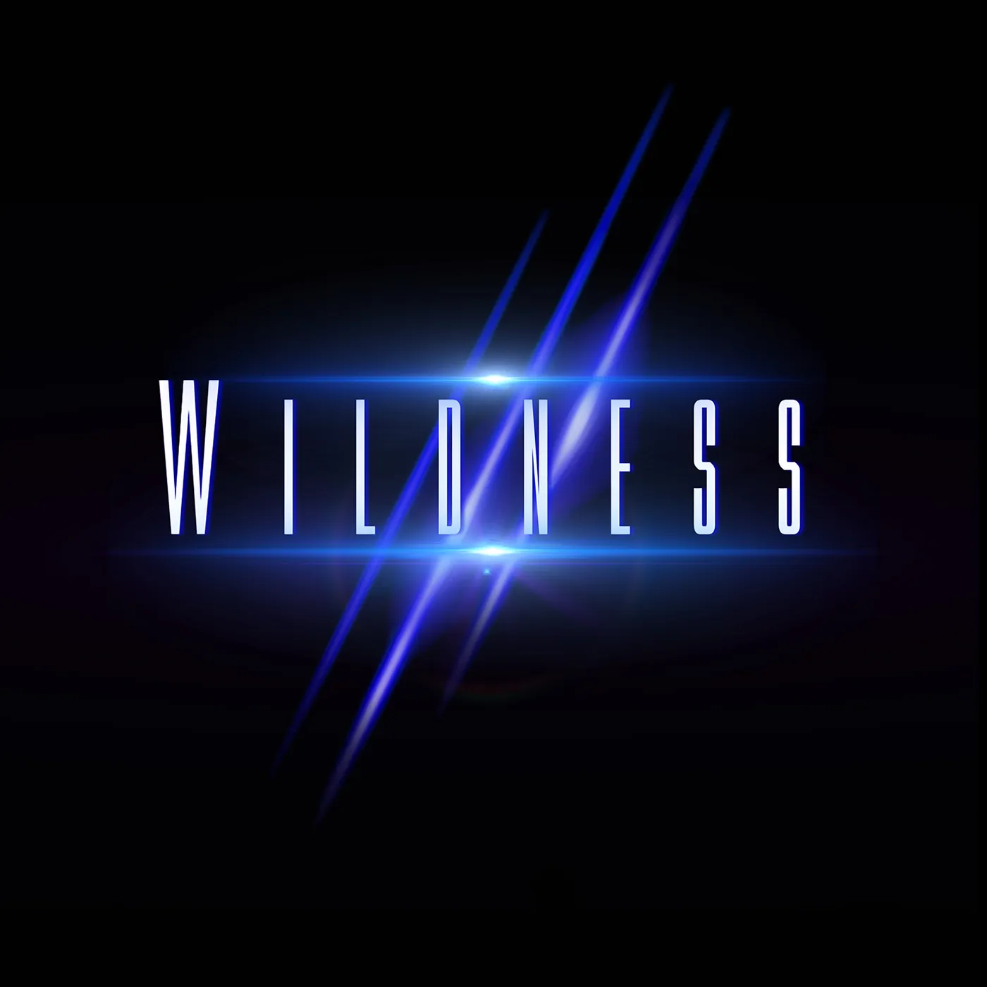 WILDNESS CD