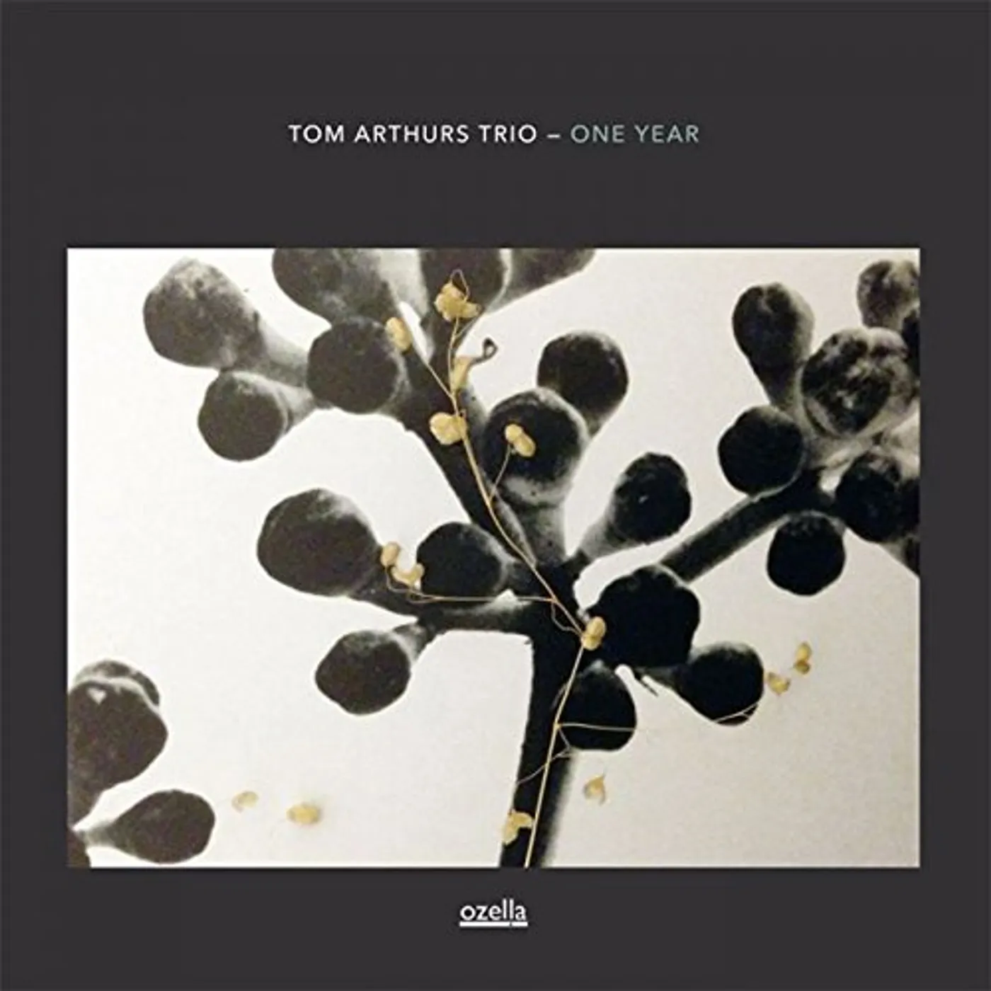 Tom Arthurs Trio ONE YEAR Vinyl Record