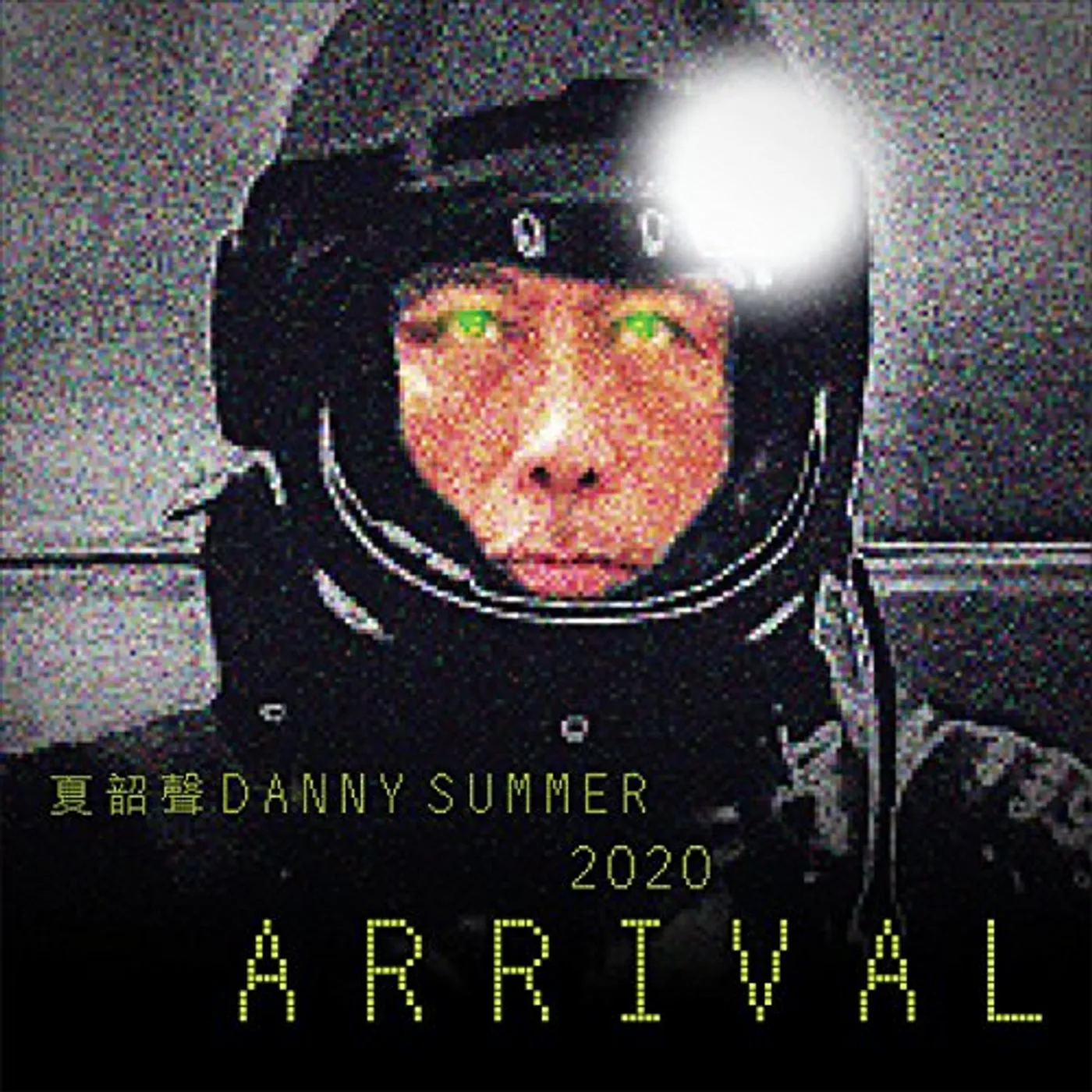 Danny Summer 2020 ARRIVAL Vinyl Record