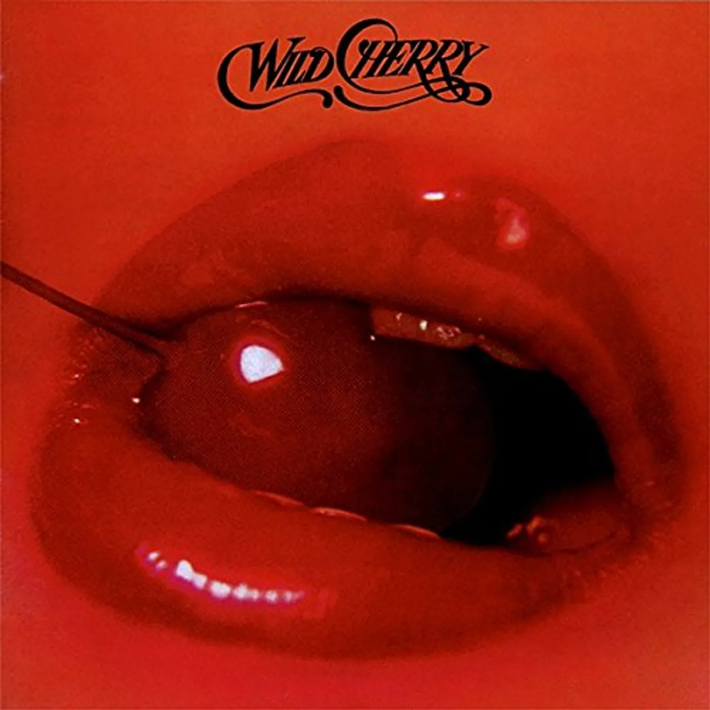 Wild Cherry PLAY THAT FUNKY MUSIC CD
