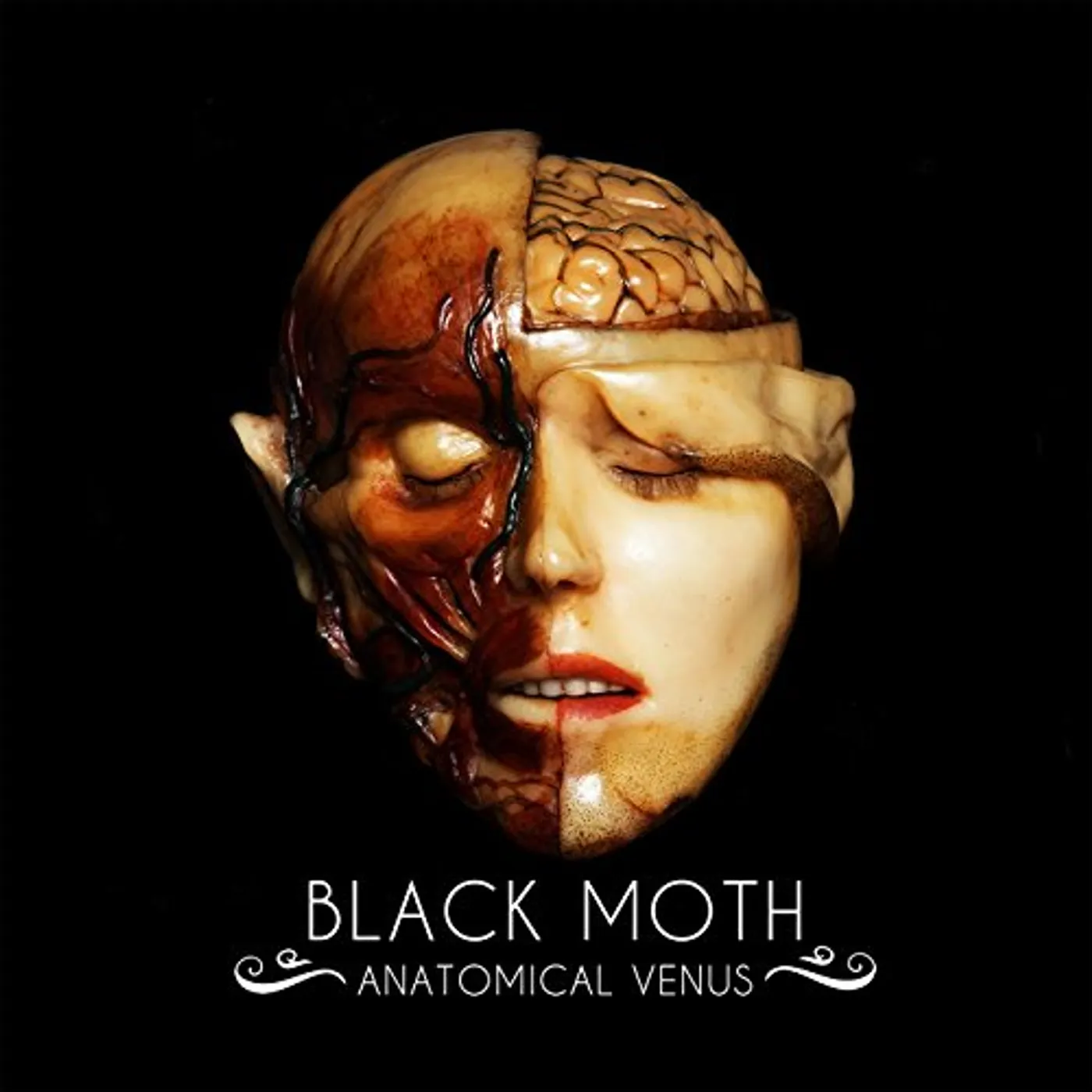 Black Moth Anatomical Venus Vinyl Record