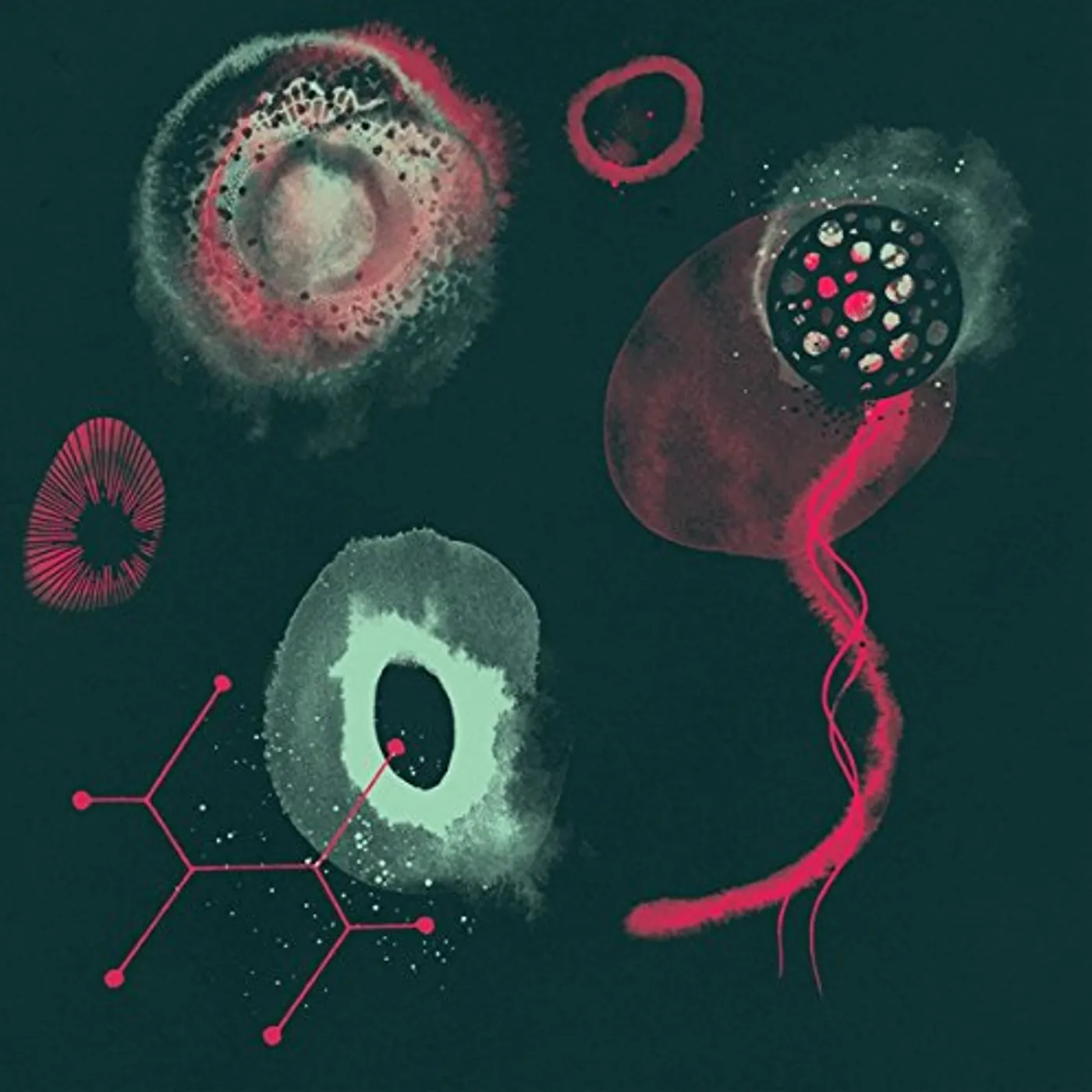 Polypores IMPOSSIBILITY Vinyl Record