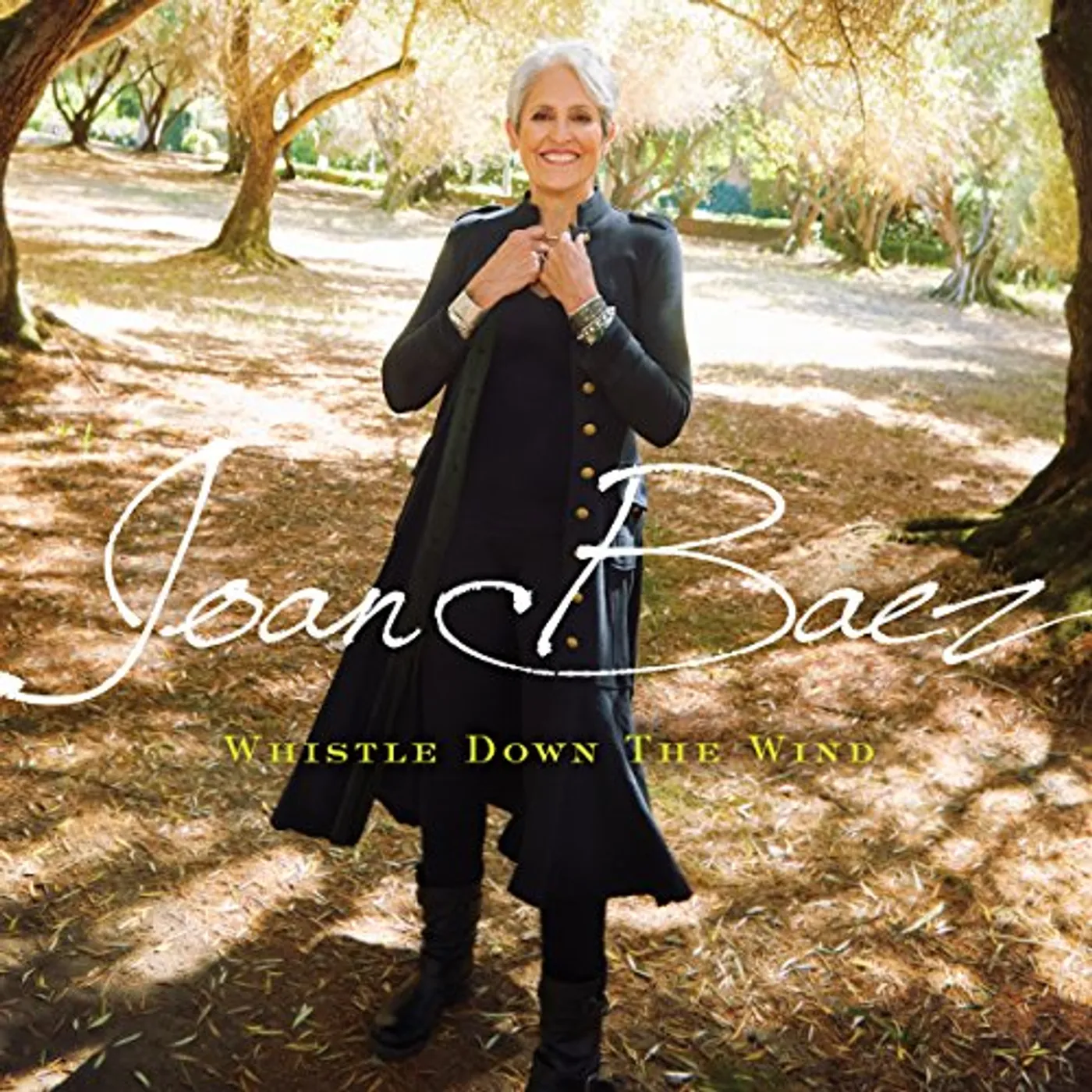 Joan Baez Whistle Down the Wind Vinyl Record