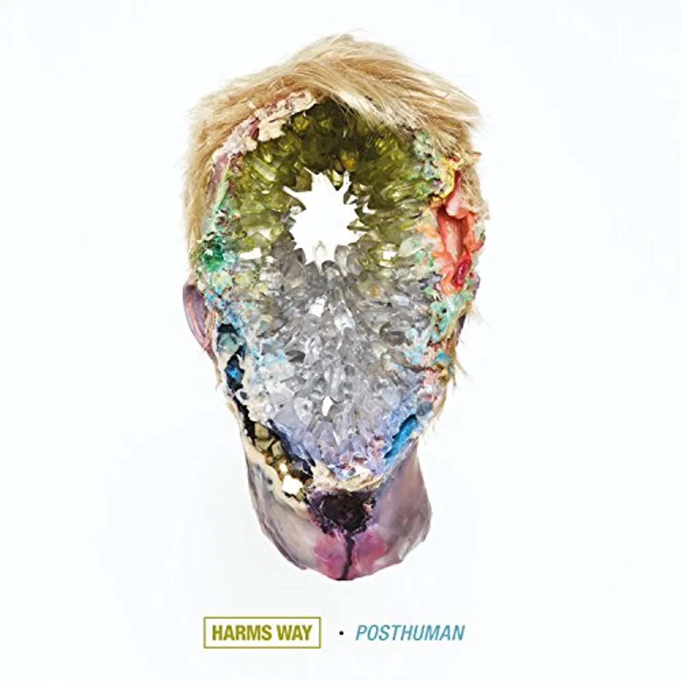 Harm's Way Posthuman Vinyl Record