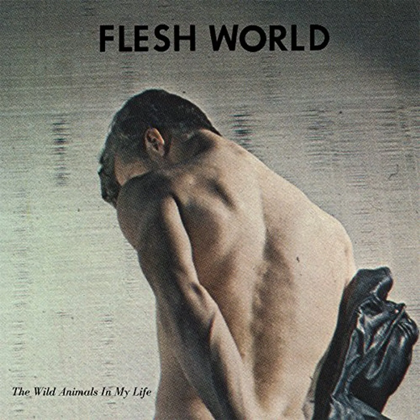 Flesh World WILD ANIMALS IN MY LIFE Vinyl Record
