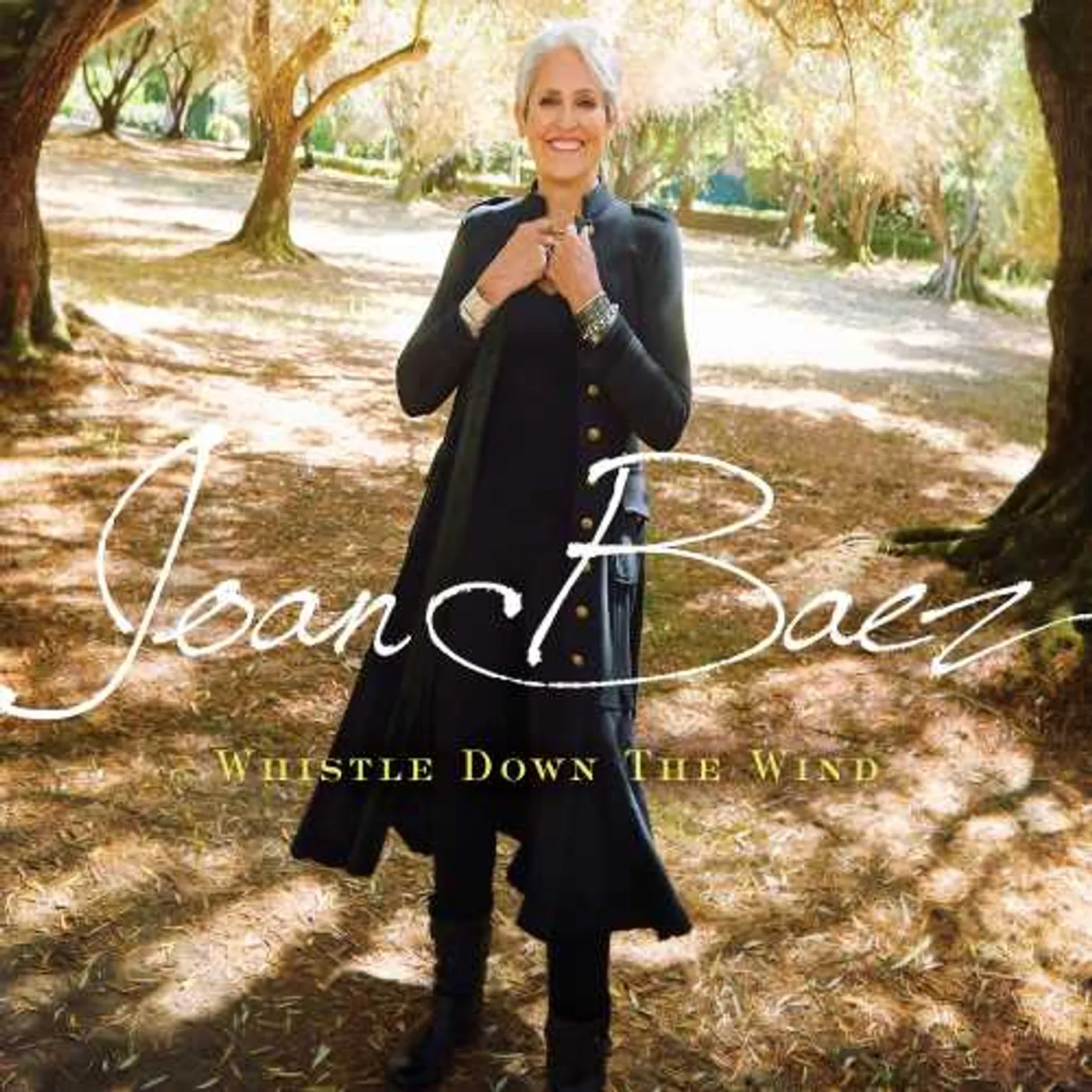 Joan Baez WHISTLE DOWN THE WIND CD