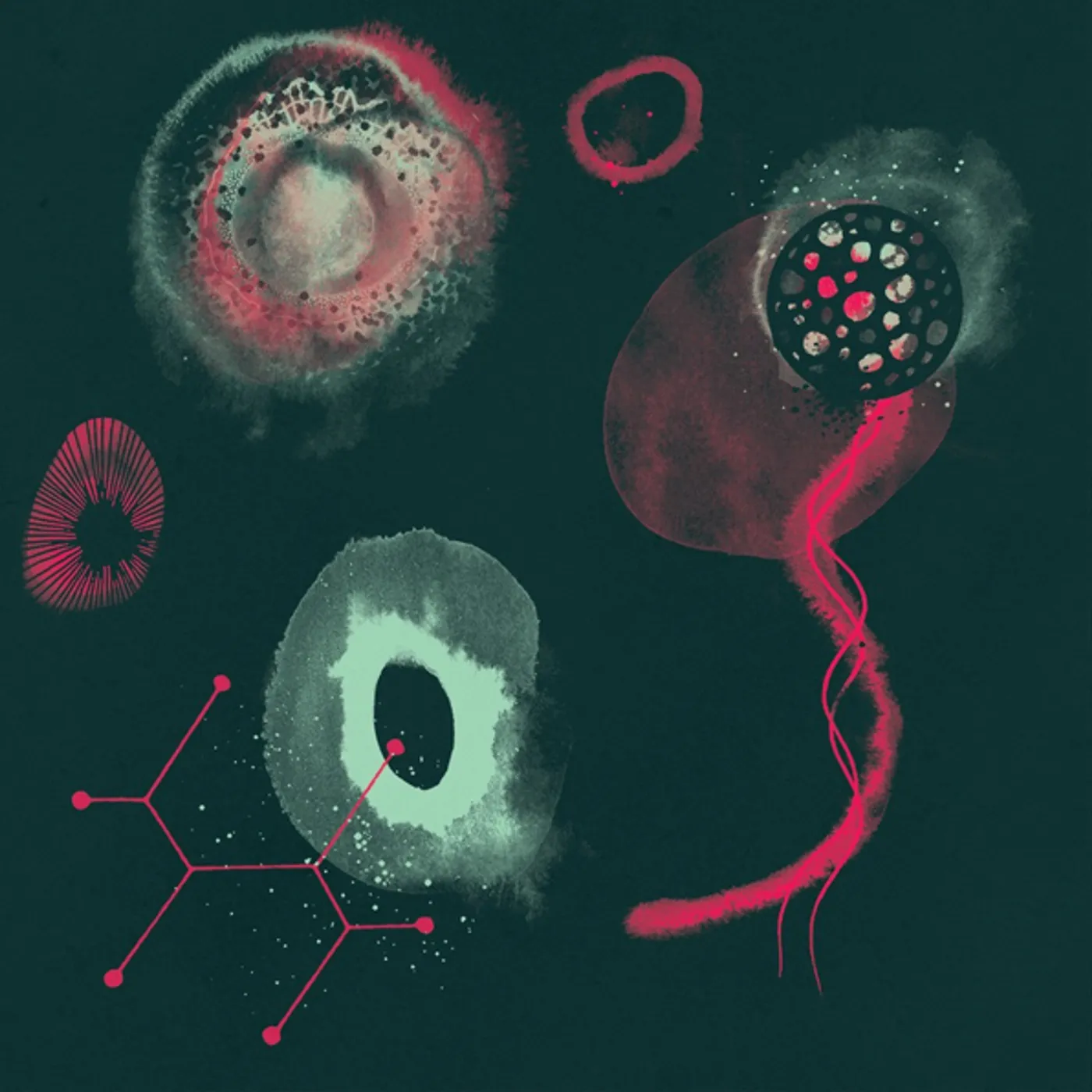 Polypores IMPOSSIBILITY Vinyl Record