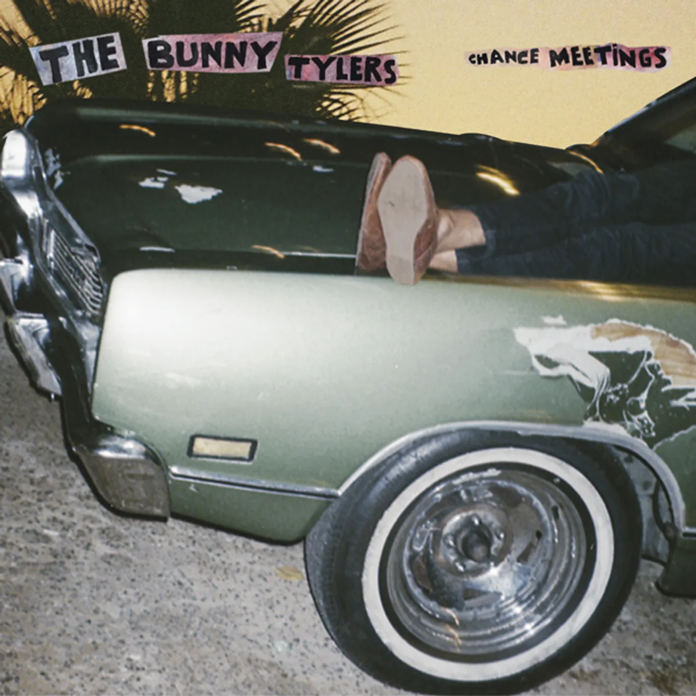 The Bunny Tylers Chance Meetings Vinyl Record
