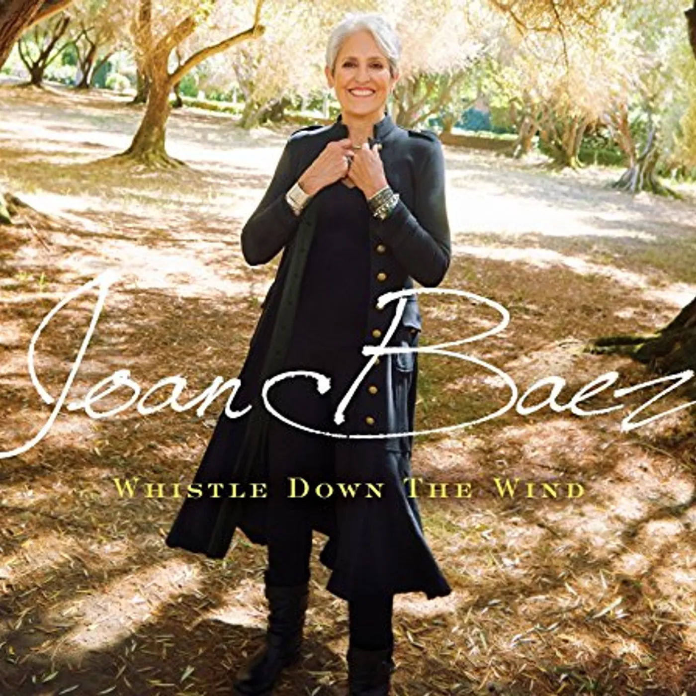 Joan Baez Whistle Down the Wind Vinyl Record