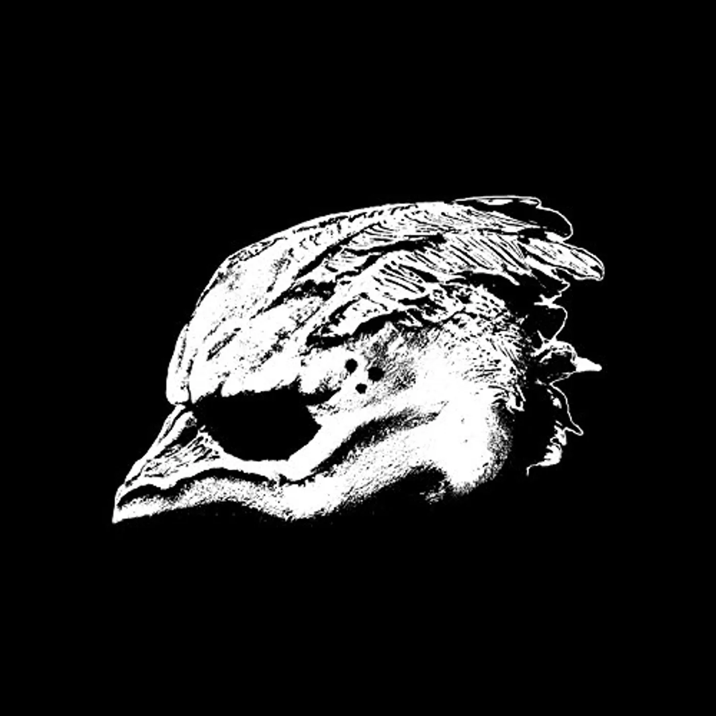 Legend Of The Seagullmen Vinyl Record