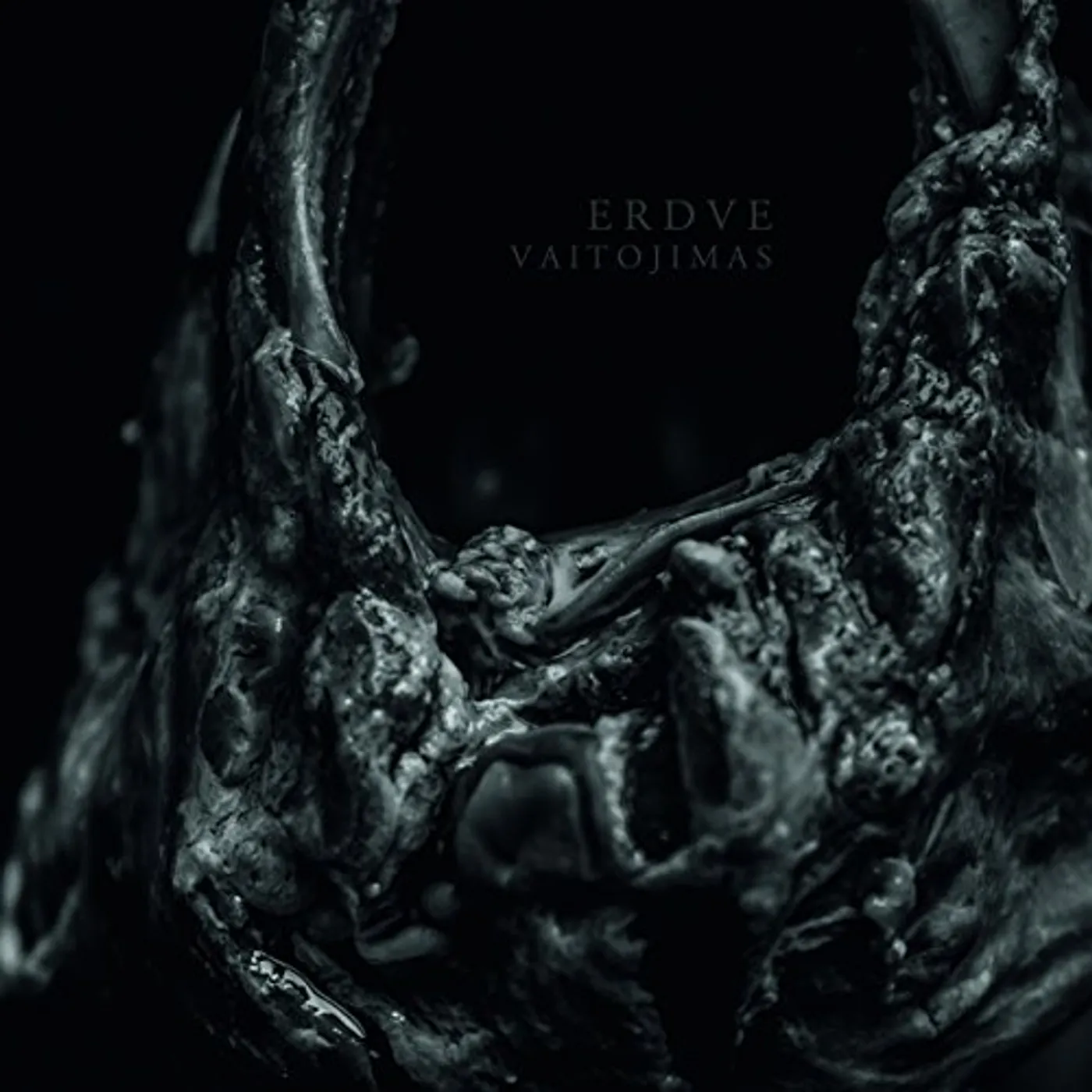 Erdve Vaitojimas Vinyl Record