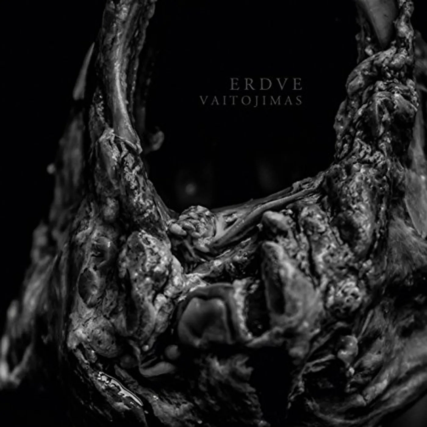 Erdve VAITOJIMAS CD
