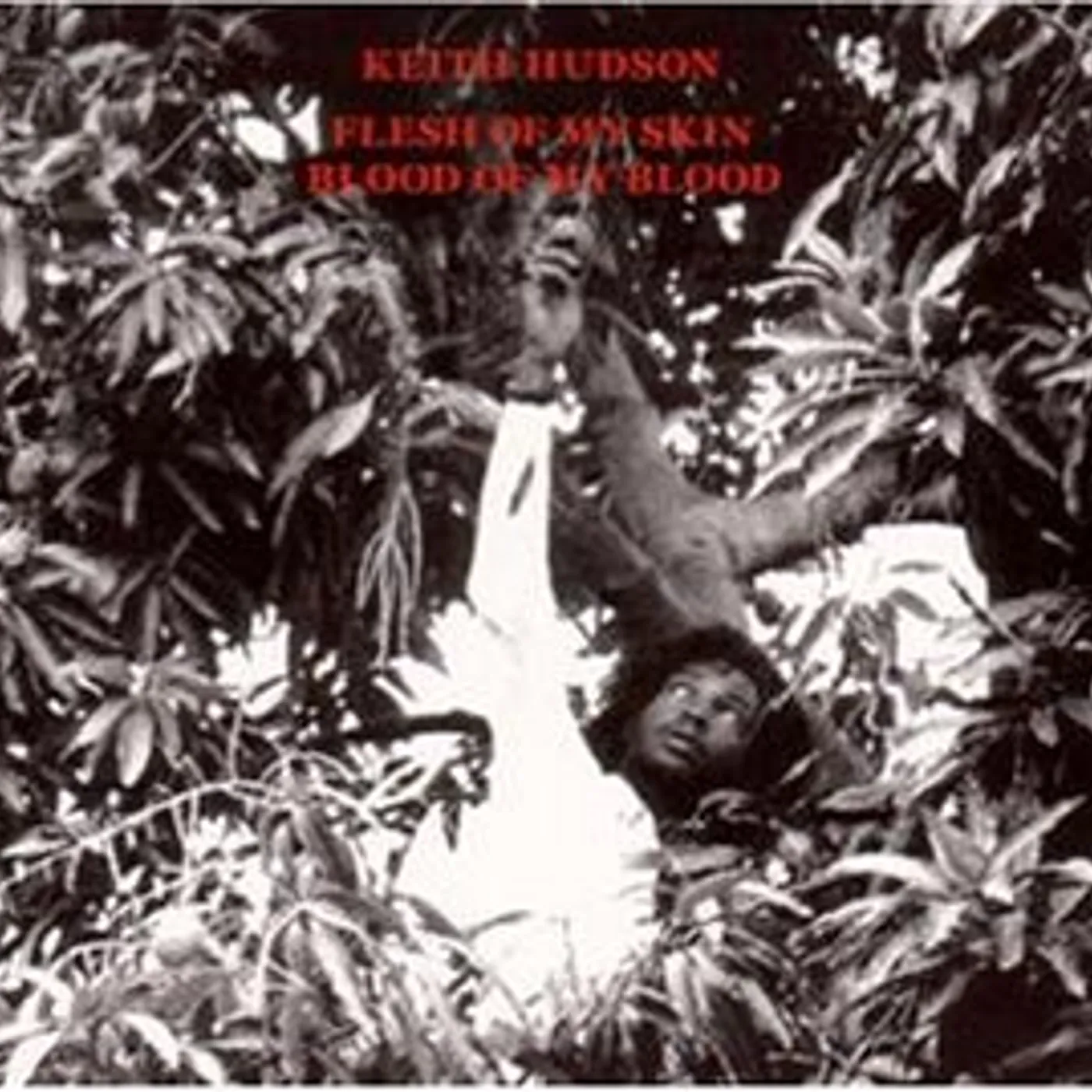 米2LP Keith Hudson Pick A Dub (RSD Essential Black Ice Vinyl) (2LP) VPRL2780 VP /00390 Pick A Dub (RSD Essential-Black Ice Vinyl) - Keith Hudson