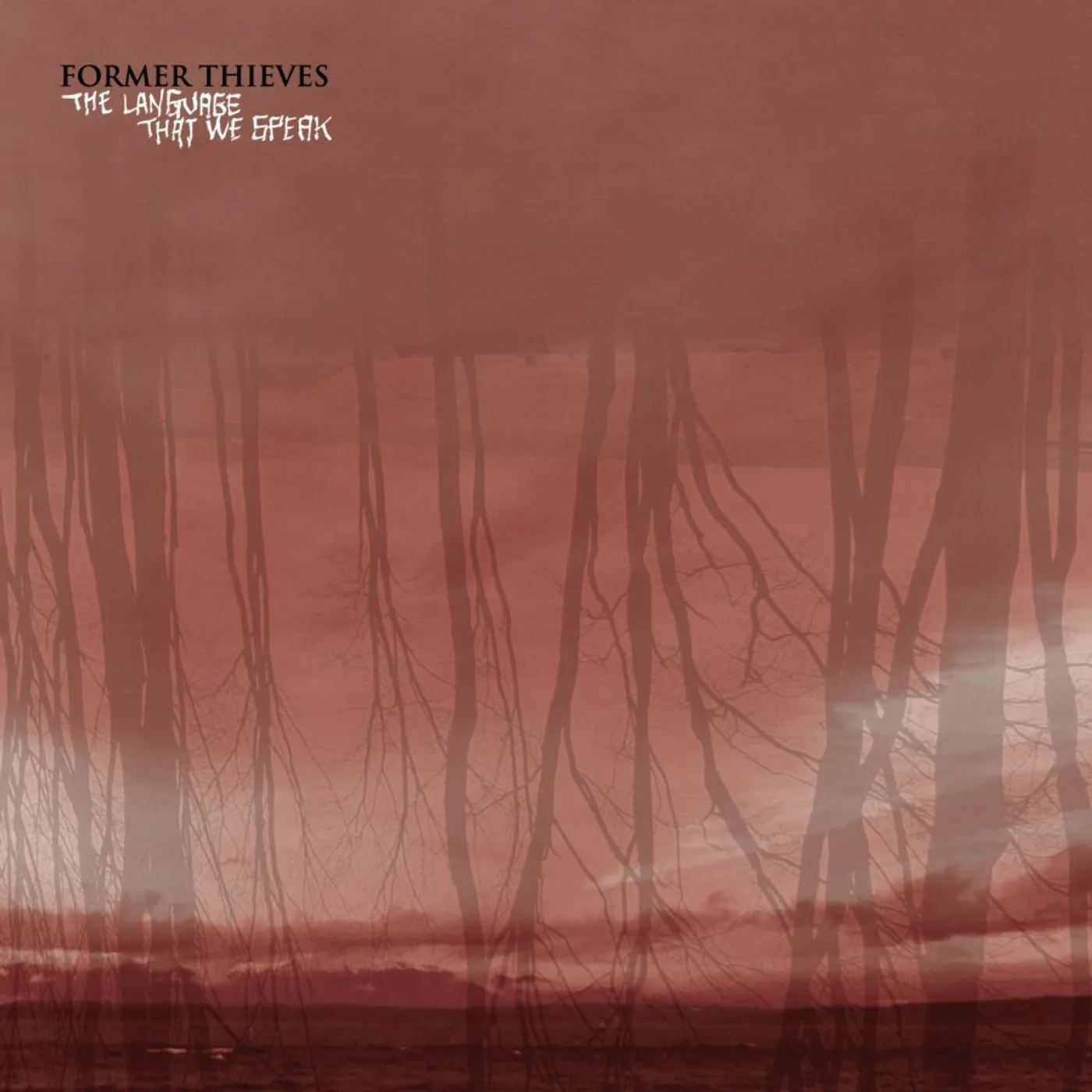 Former Thieves LANGUAGE THAT WE SPEAK Vinyl Record