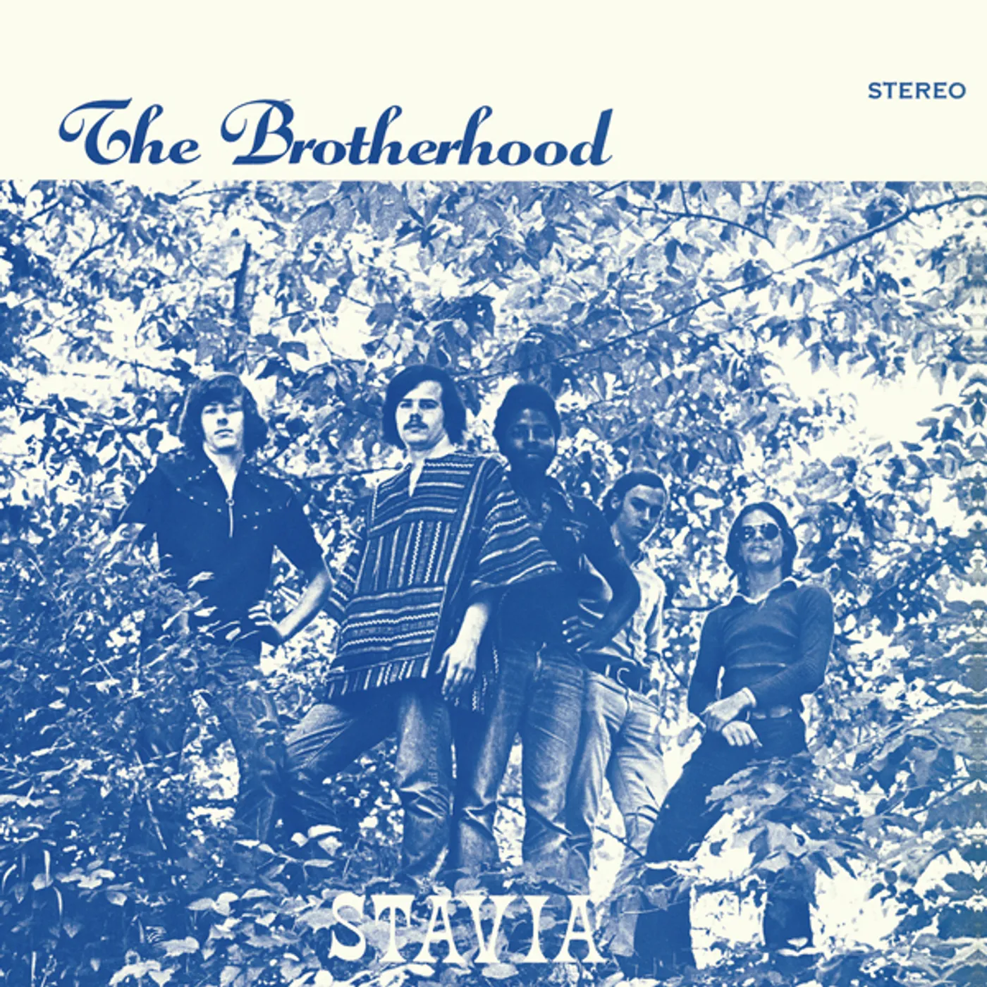 The Brotherhood Stavia Vinyl Record