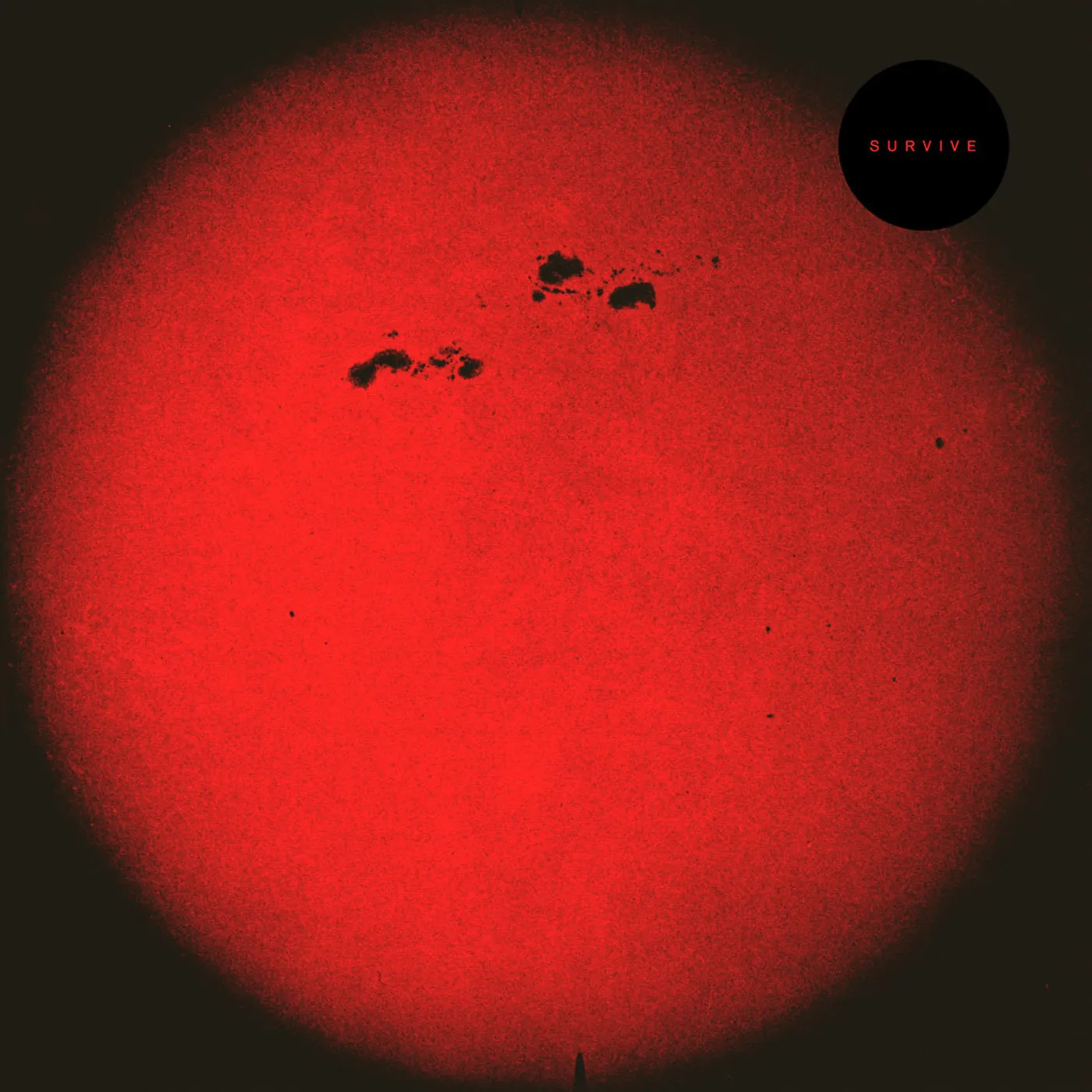 S U R V I V E HD015 Vinyl Record