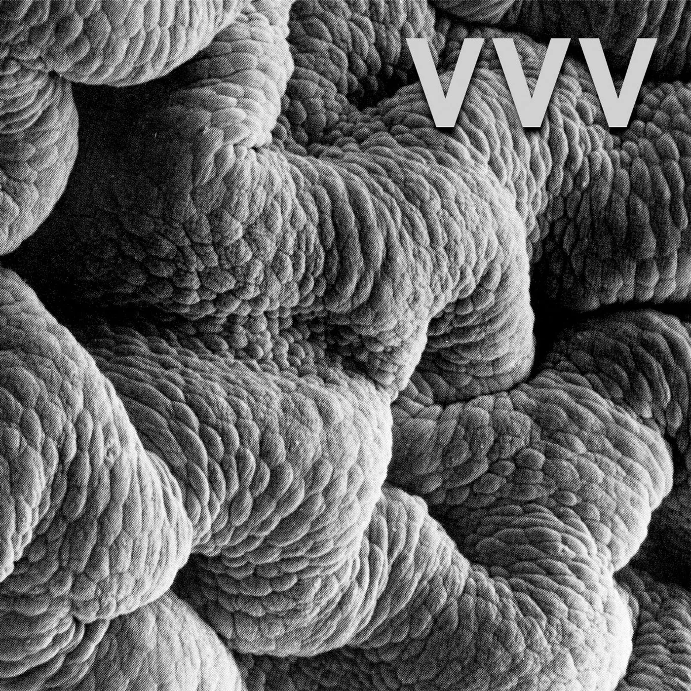 VVV Shadow World Vinyl Record