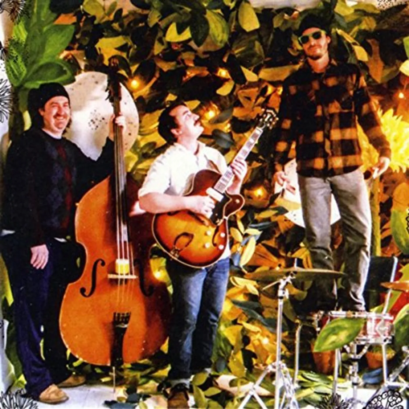 Wild Hands GROWING LIKE A WEED A COLLECTION OF SONGS MIDWEST CD
