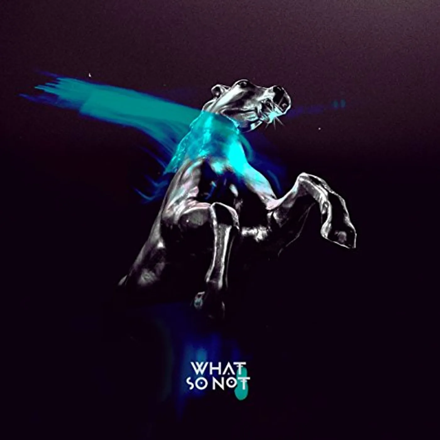 What So Not NOT ALL THE BEAUTIFUL THINGS CD