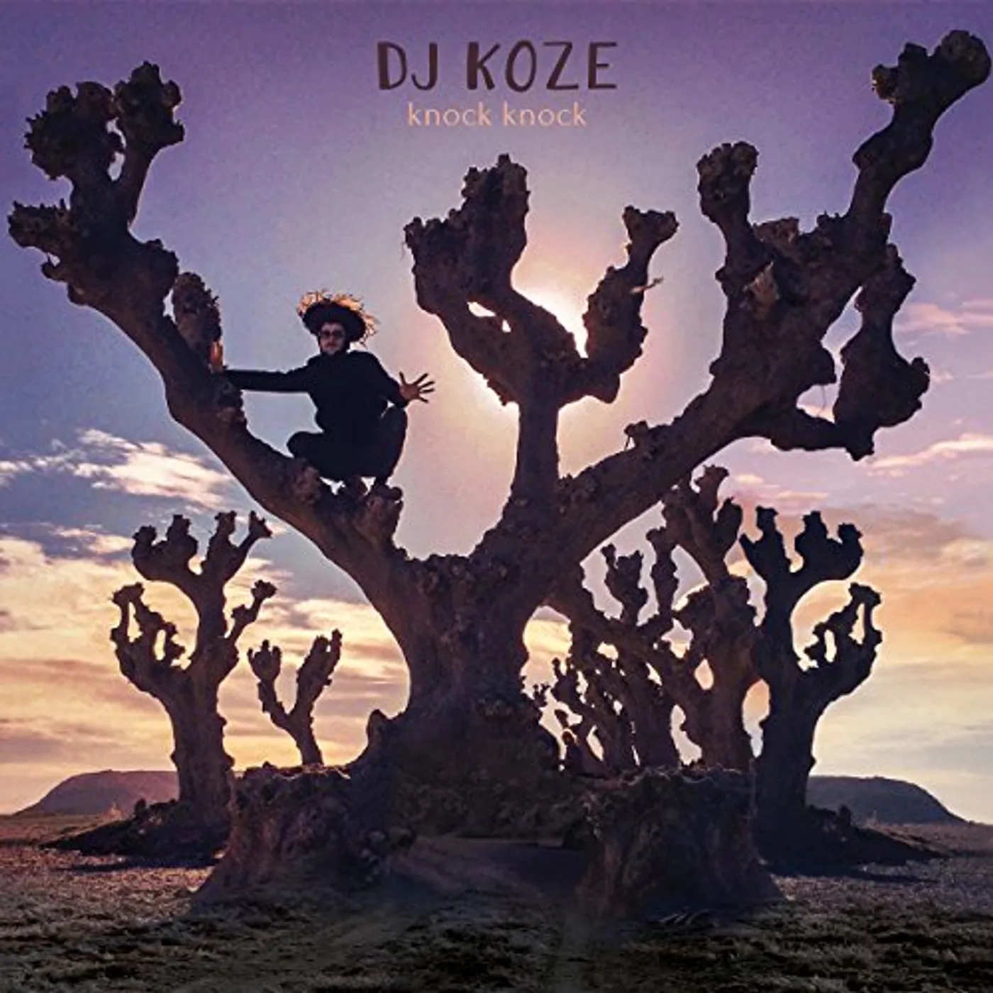 DJ Koze Knock Knock Vinyl Record