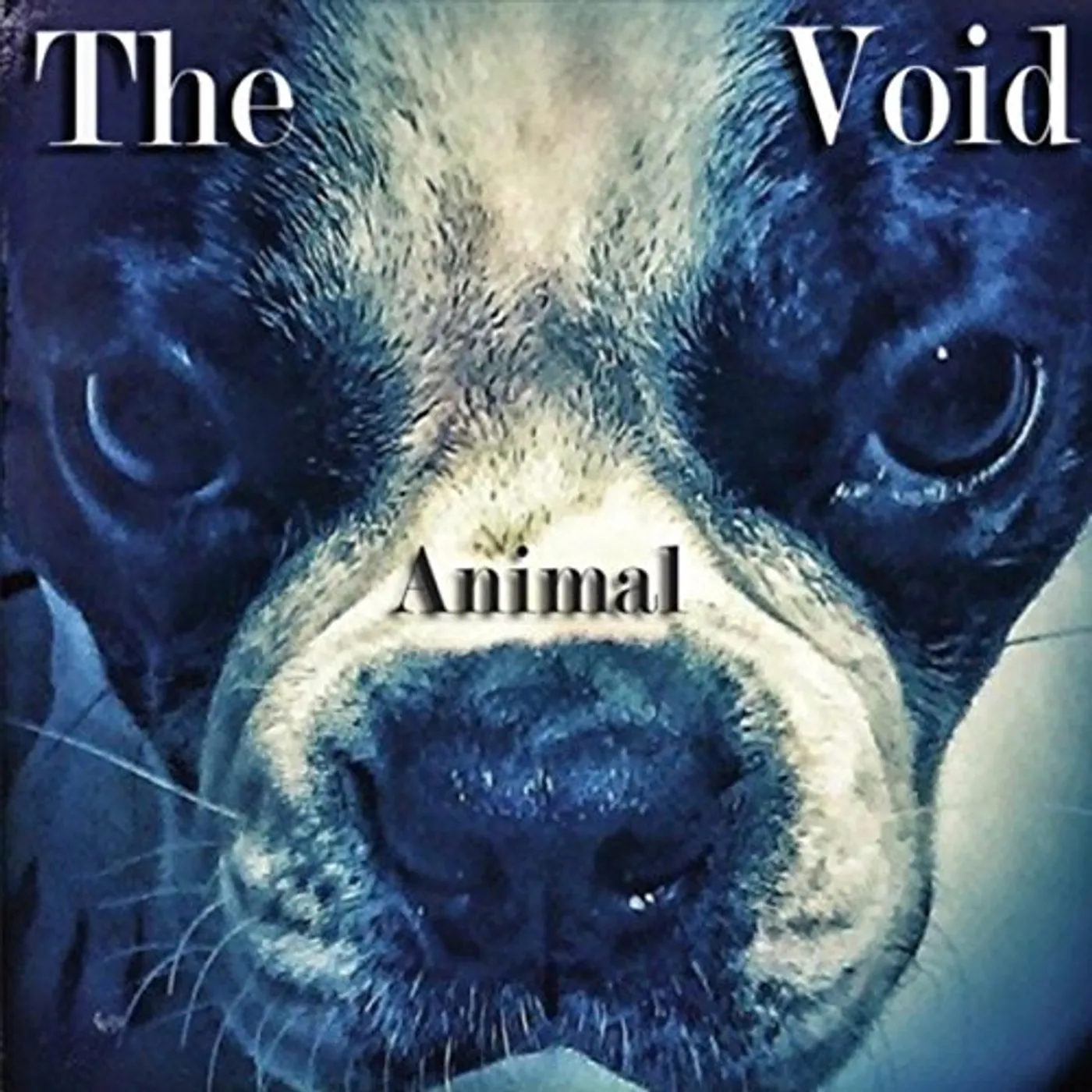 Void ANIMAL CD
