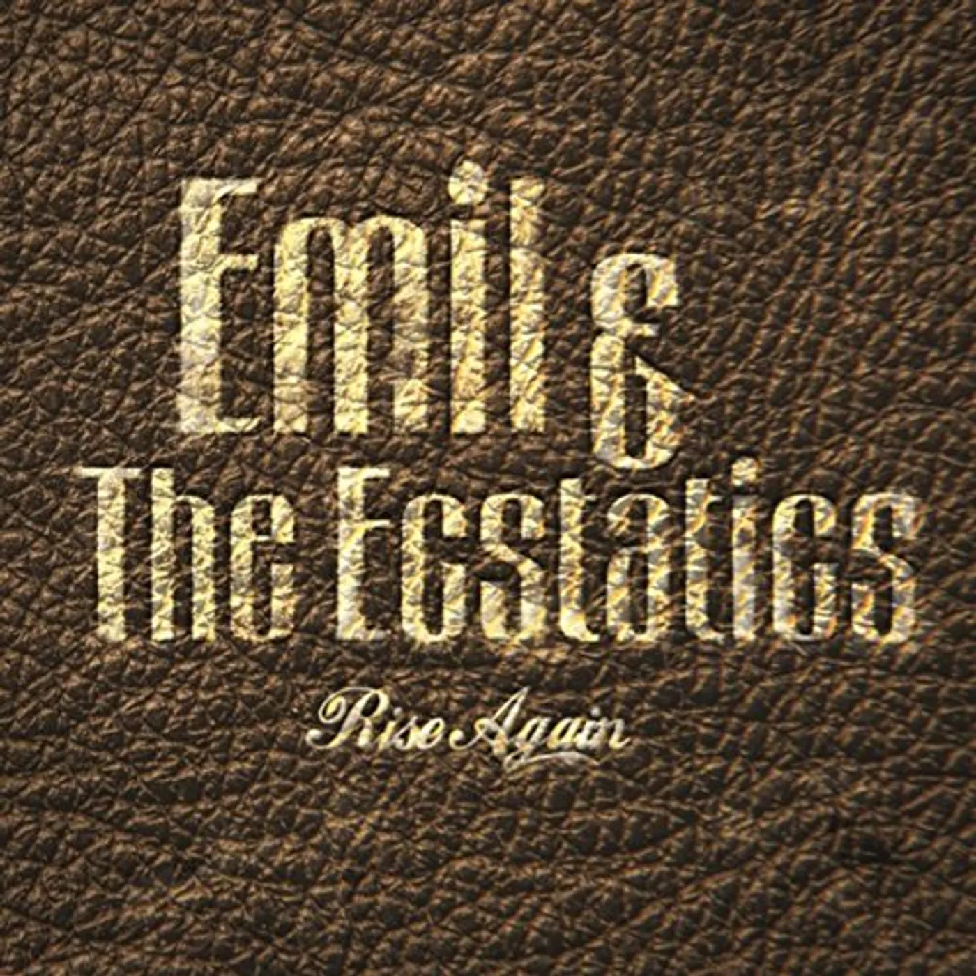 Emil & The Ecstatics RISE AGAIN CD