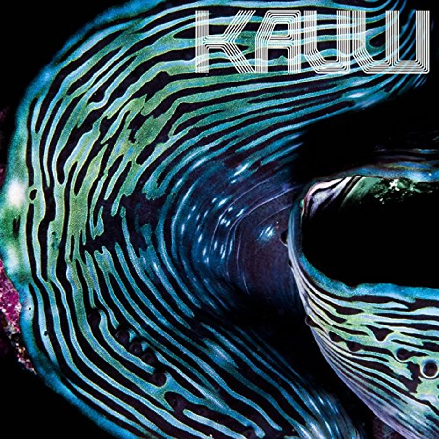Kauw Pitch / Nergens Vinyl Record