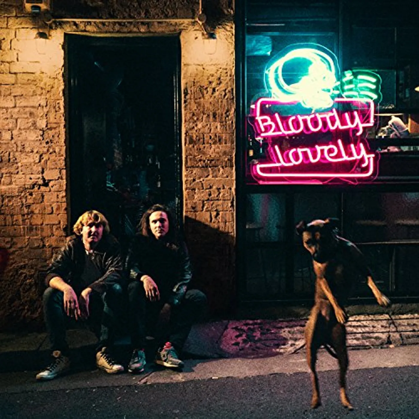 DZ Deathrays Bloody Lovely Vinyl Record