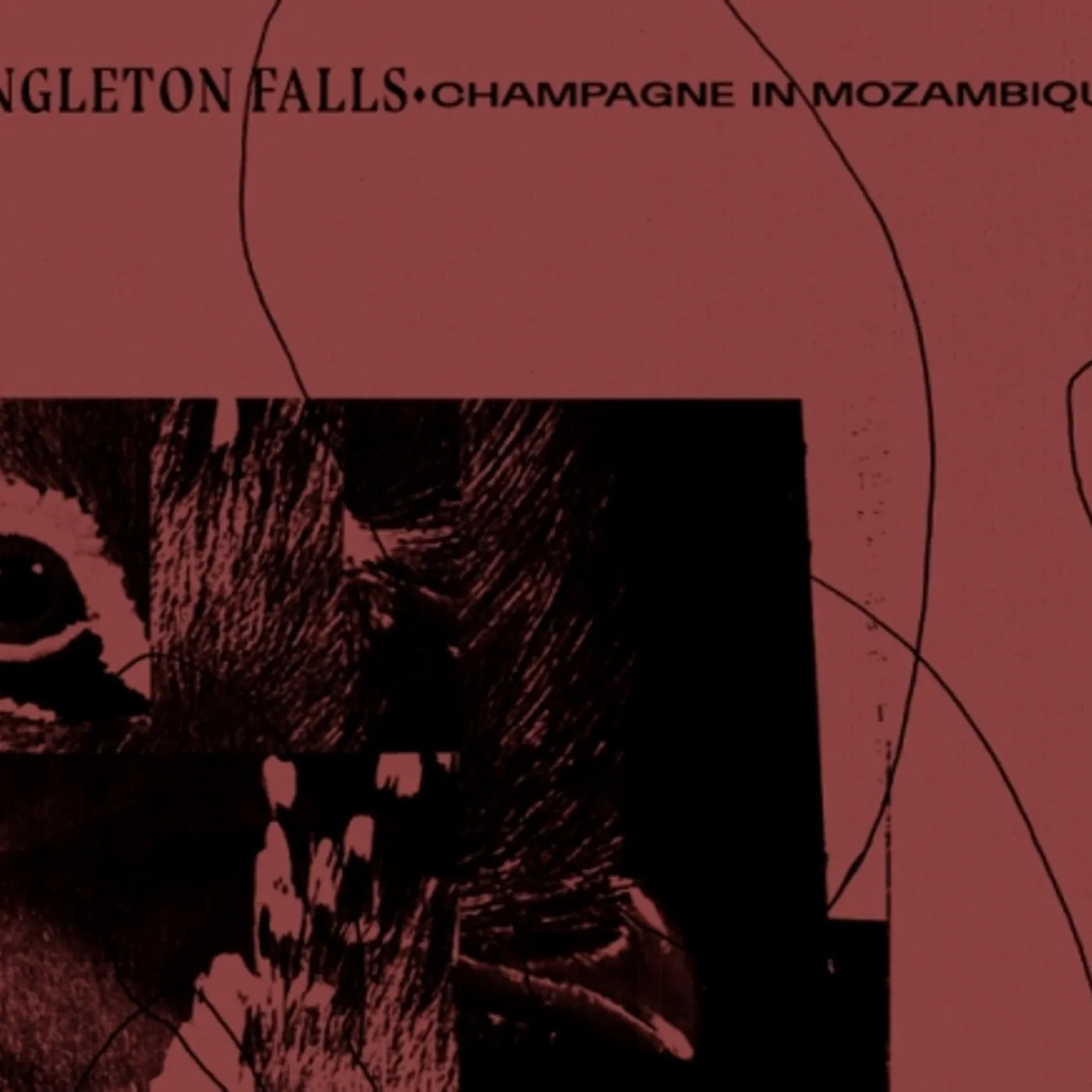 Ingleton Falls Champagne in Mozambique Vinyl Record