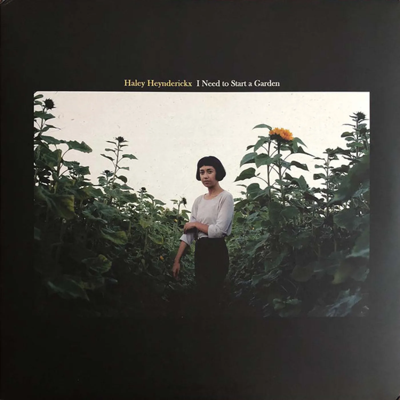 Haley Heynderickx I NEED TO START A GARDEN Vinyl Record