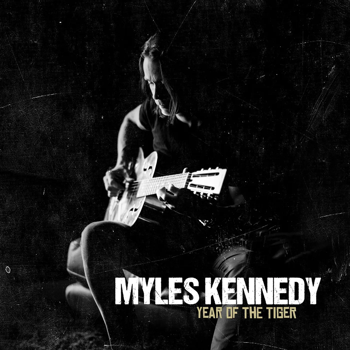 Myles Kennedy YEAR OF THE TIGER Vinyl Record