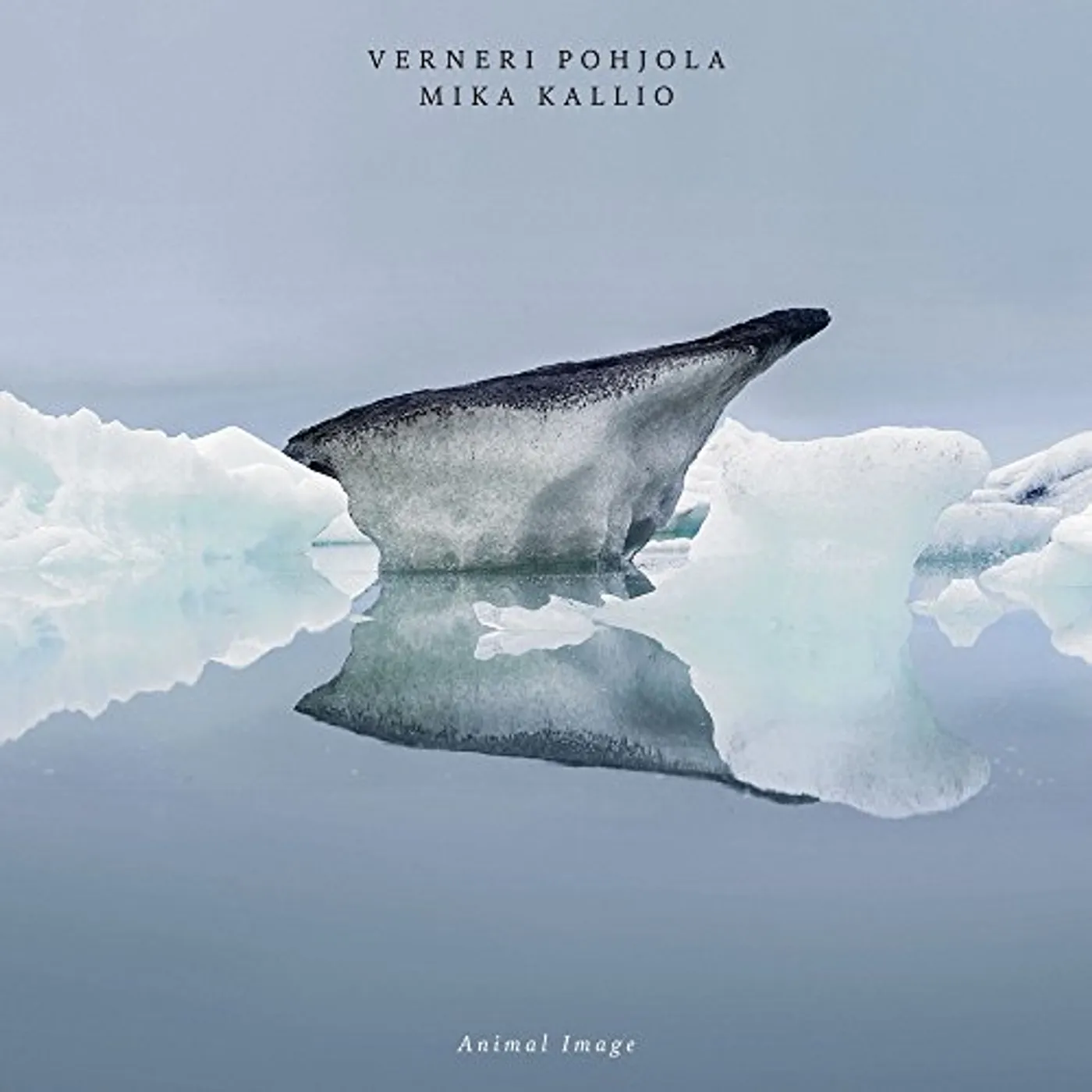 Verneri Pohjola / Mika Kallio ANIMAL IMAGE CD