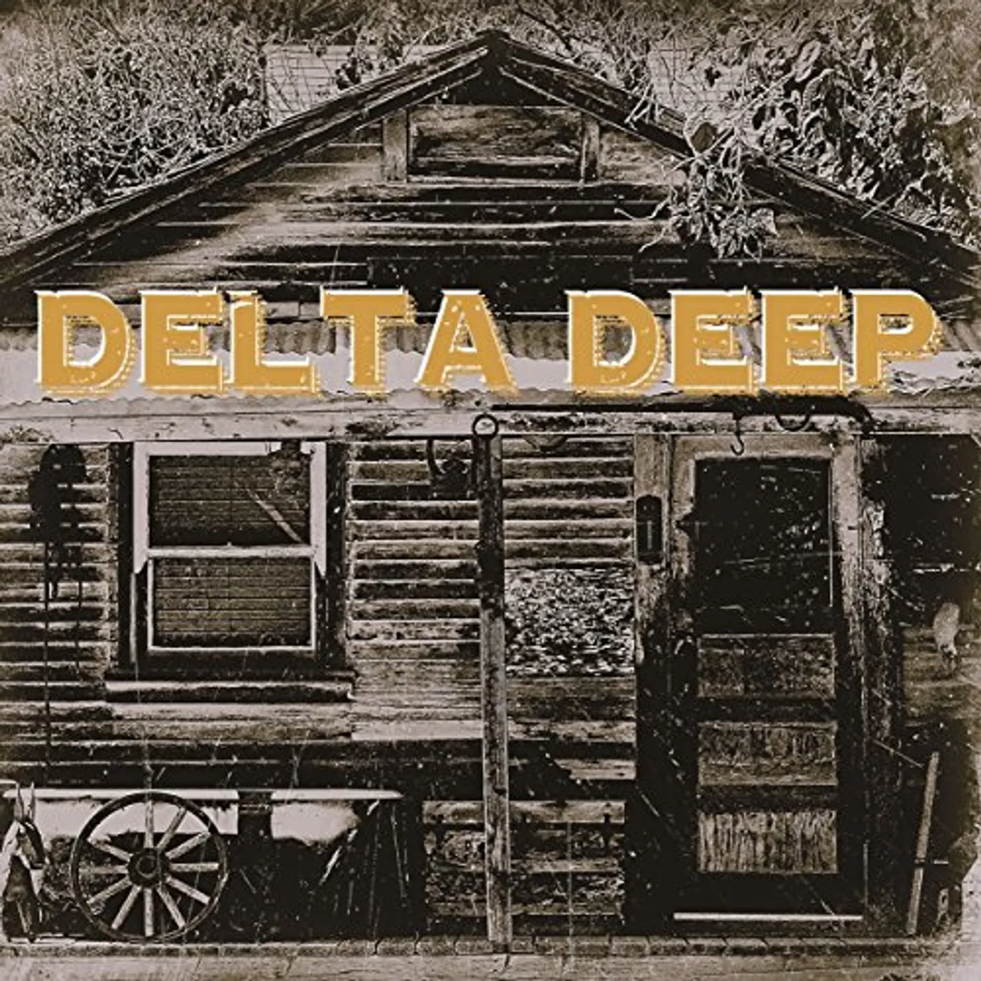 Delta Deep Vinyl Record