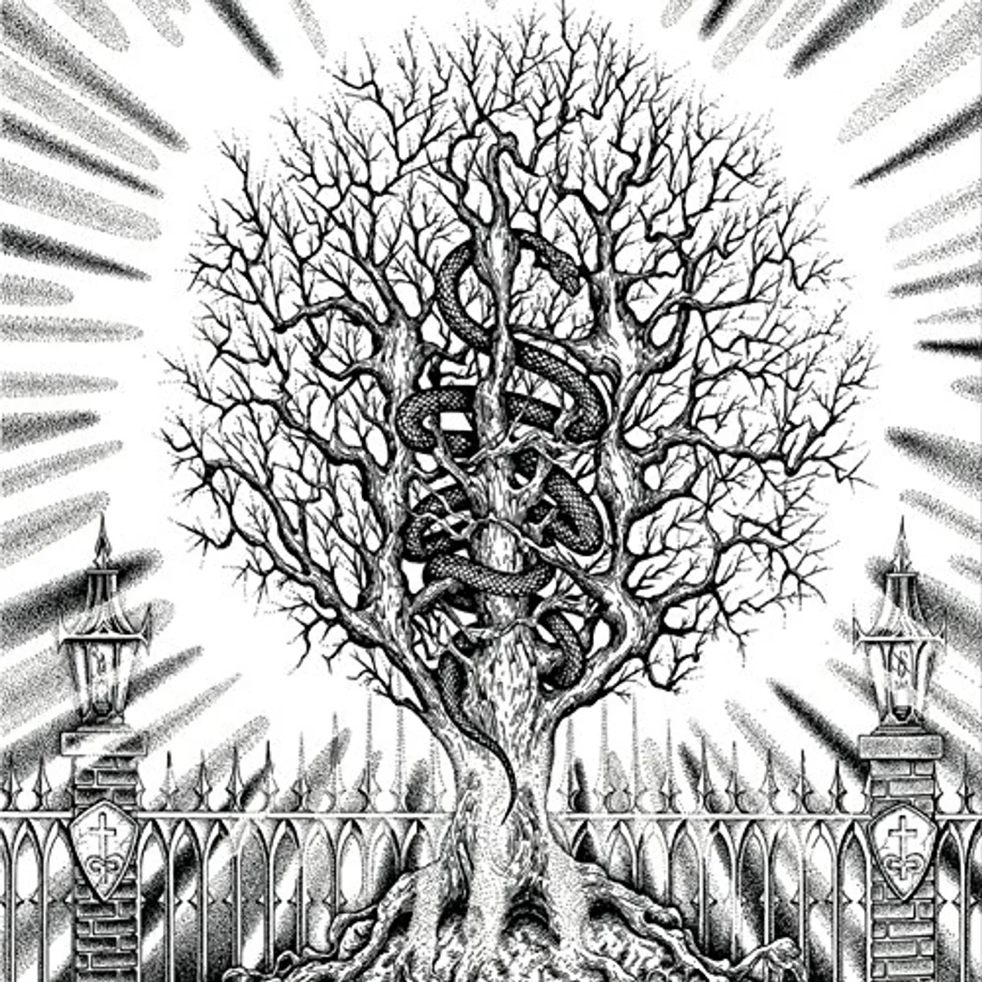 In the Company of Serpents AIN-SOPH AUR CD