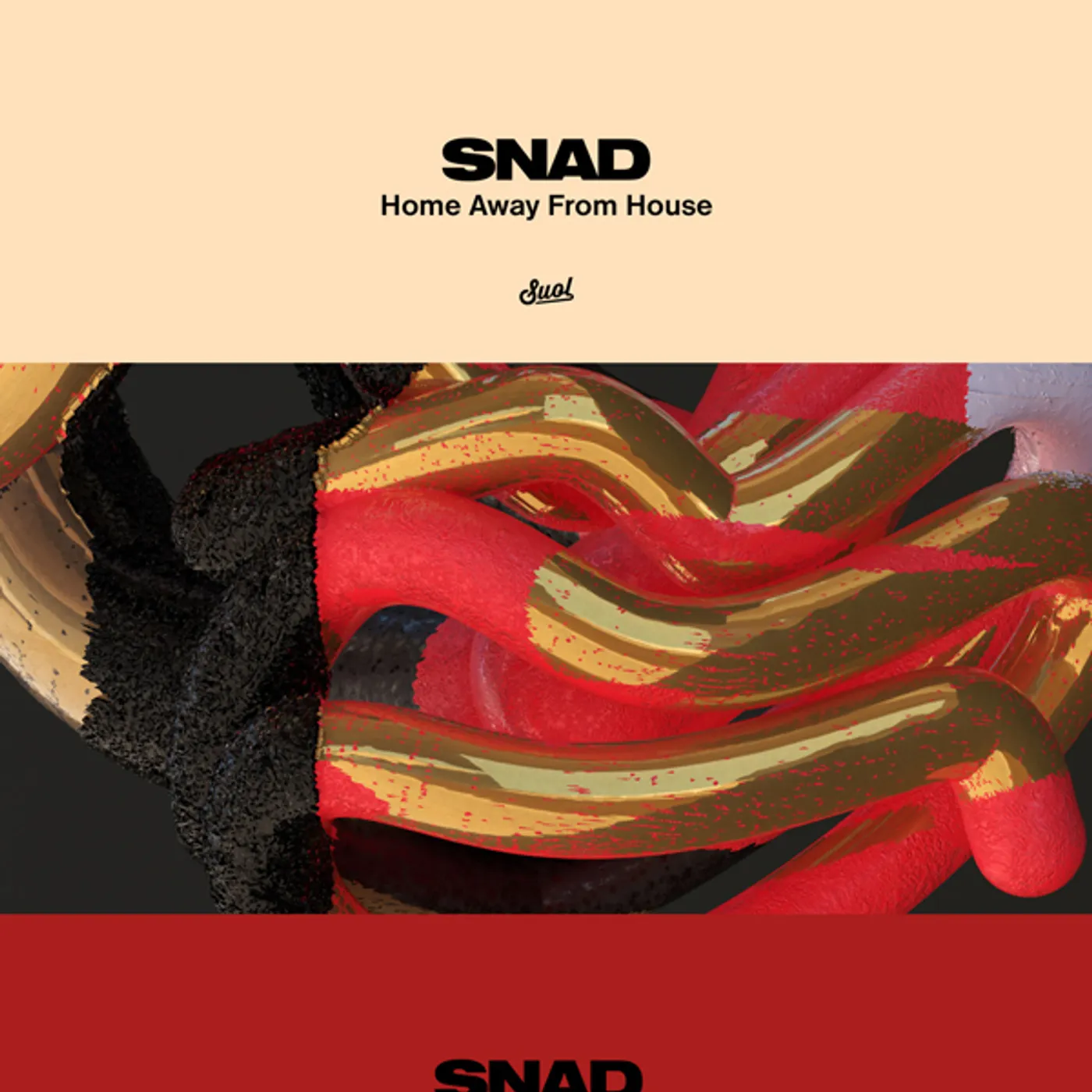 Snad HOME AWAY FROM HOUSE Vinyl Record