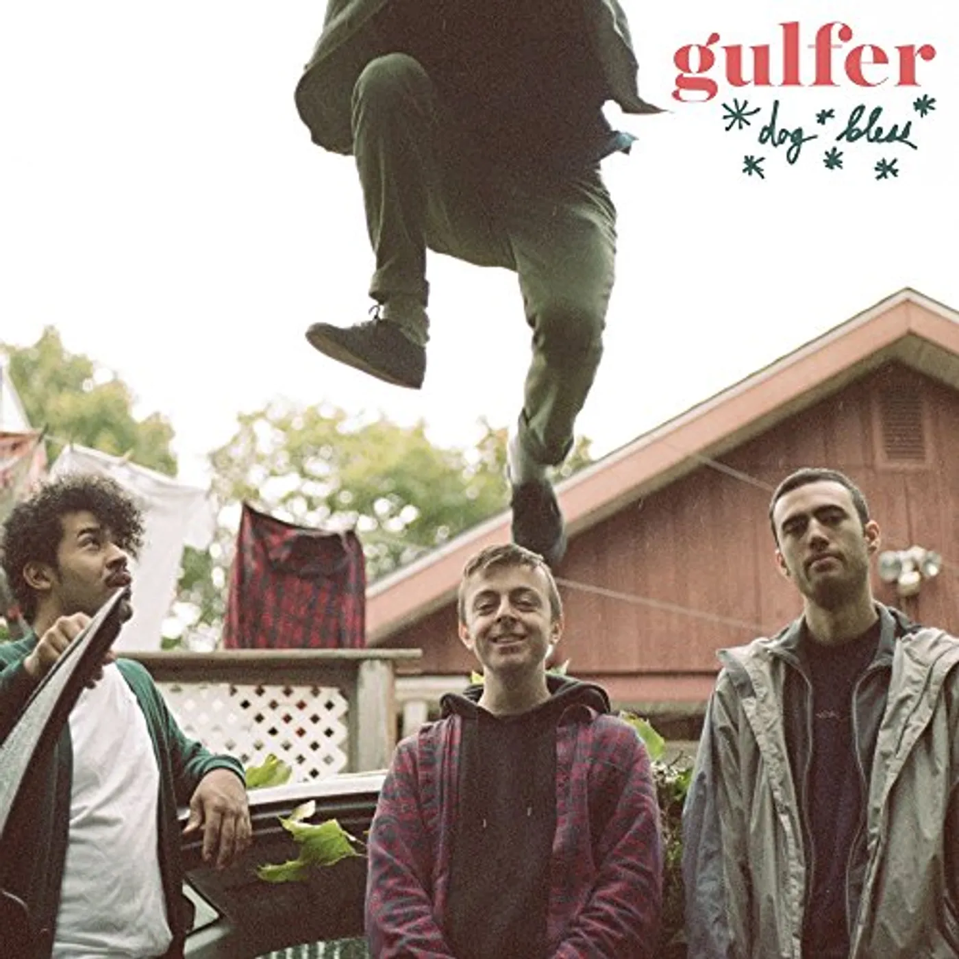 Gulfer Dog Bless Vinyl Record