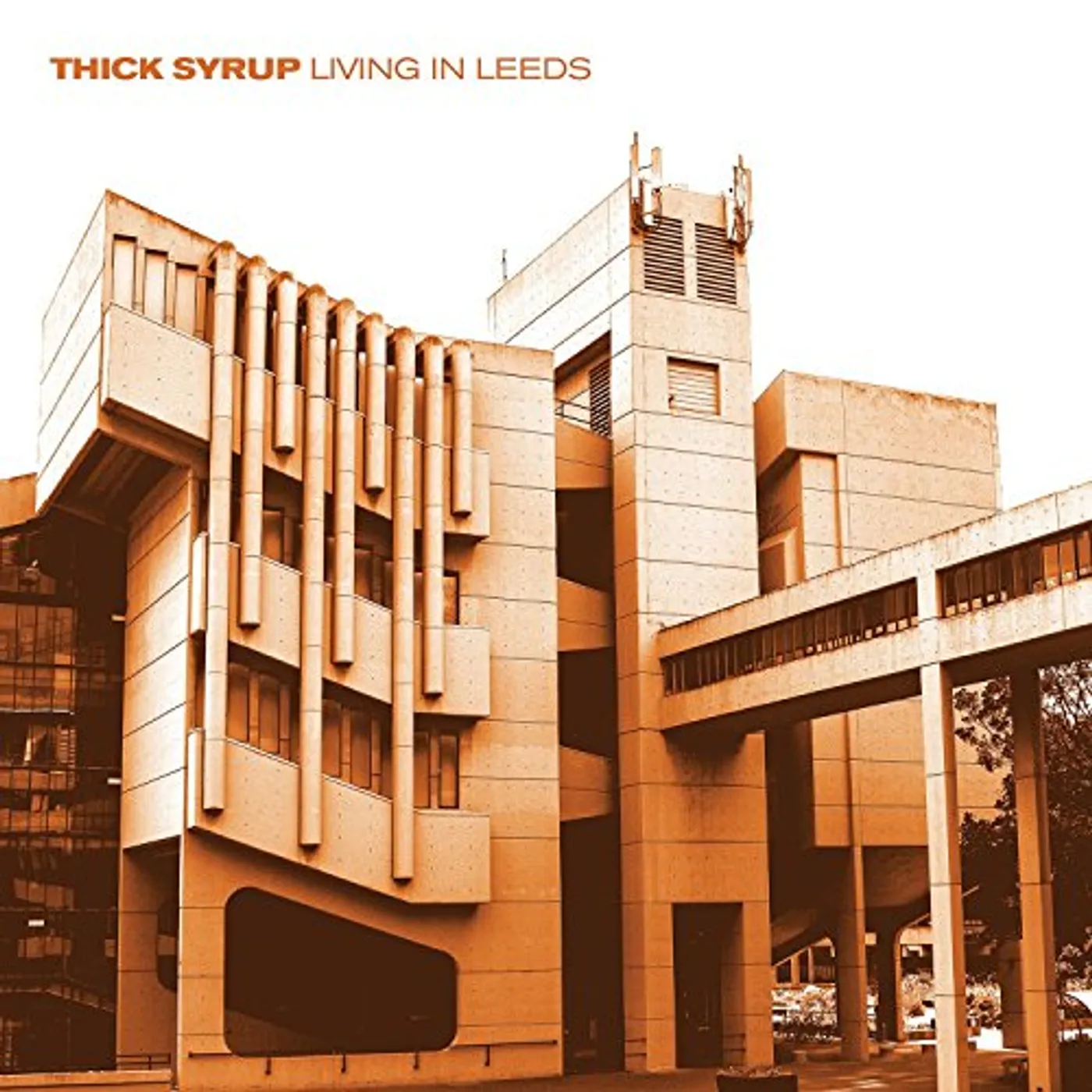 Thick Syrup Living in Leeds Vinyl Record