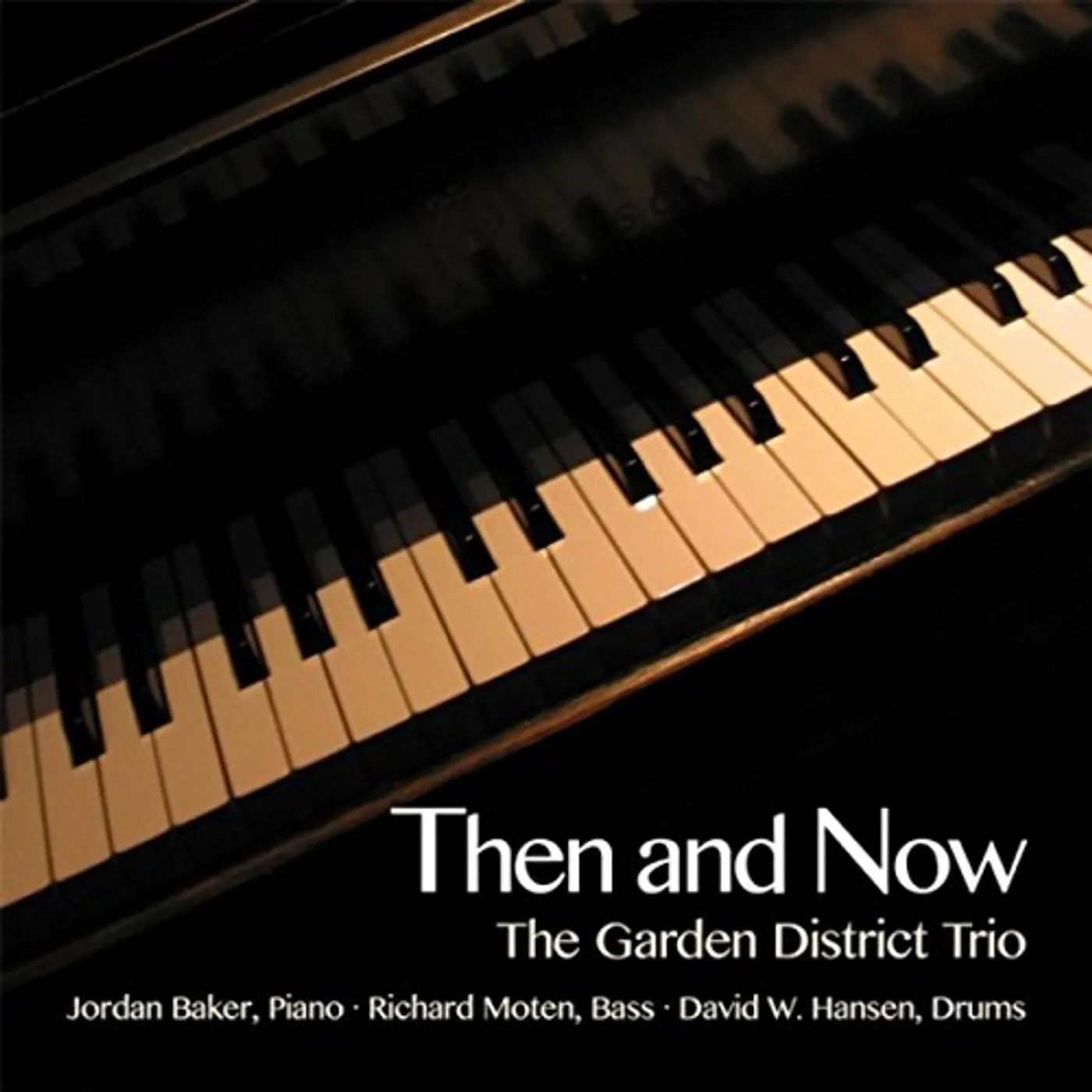 Garden District Trio THEN & NOW CD