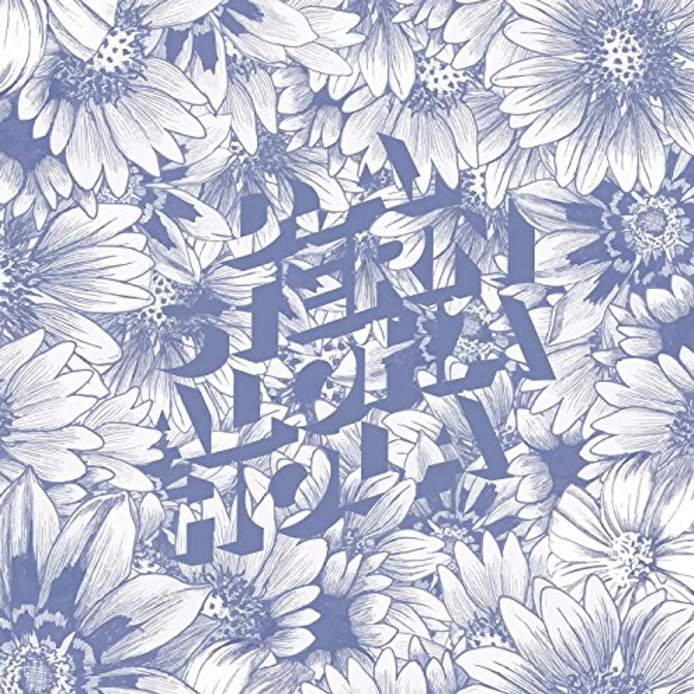 D.A. Stern ALOHA HOLA CD