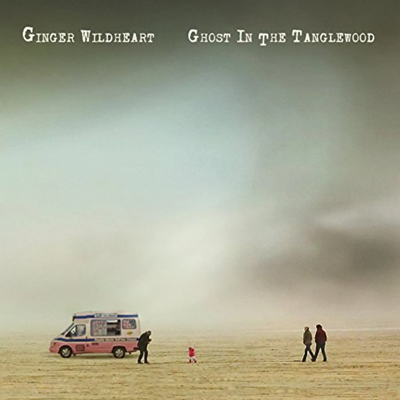 Ginger Wildheart Ghost In The Tanglewood Vinyl Record