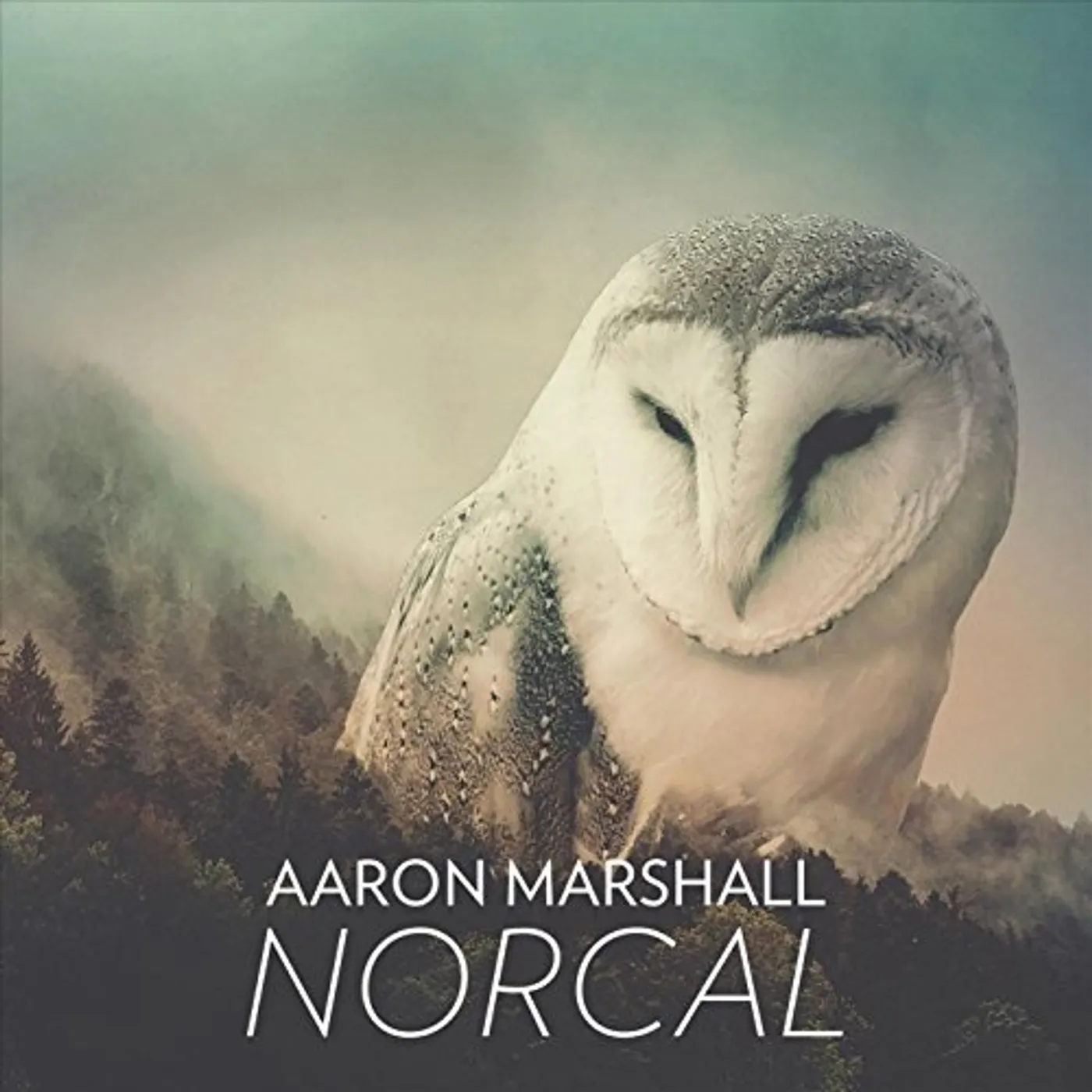 Aaron Marshall NORCAL CD