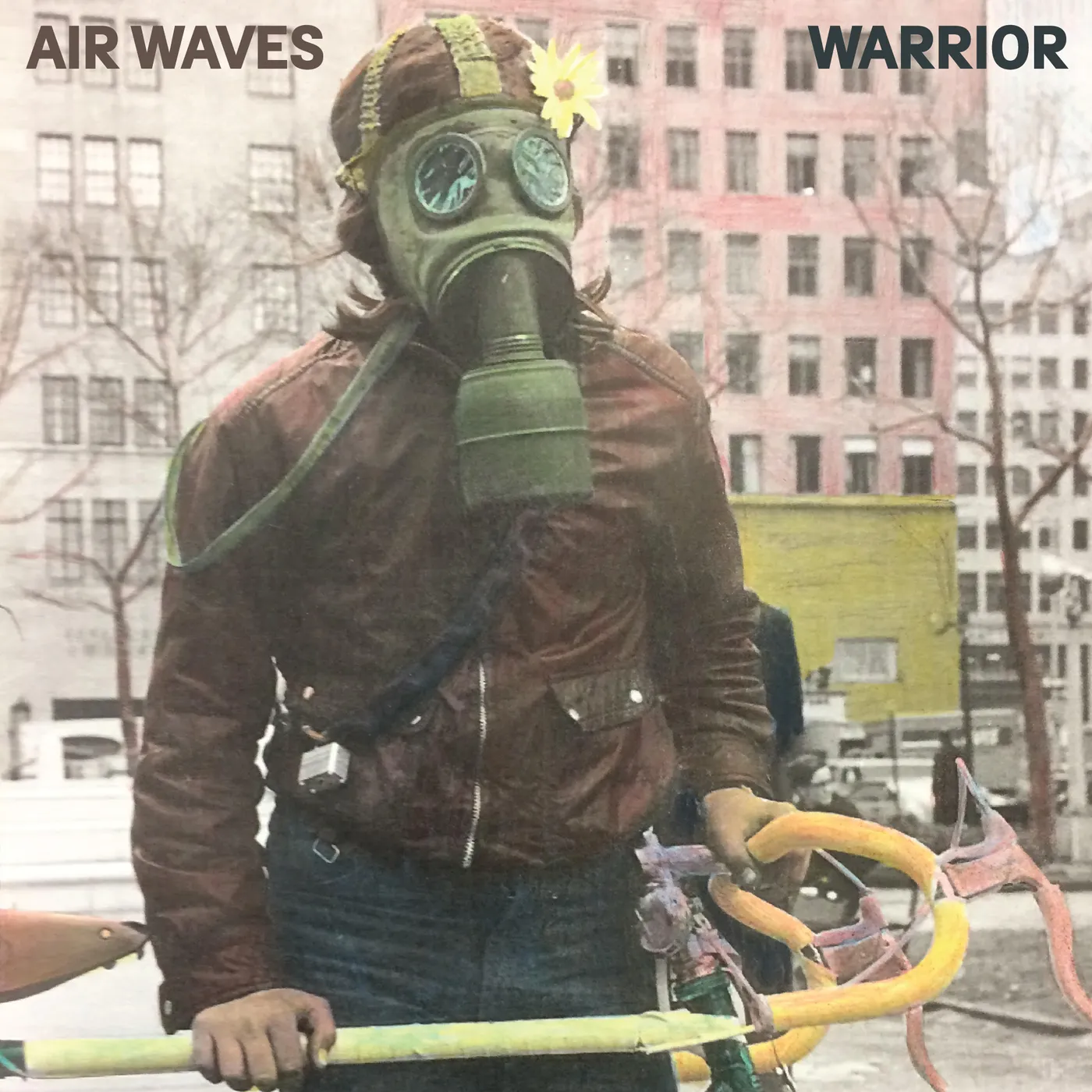 Air Waves Warrior Vinyl Record