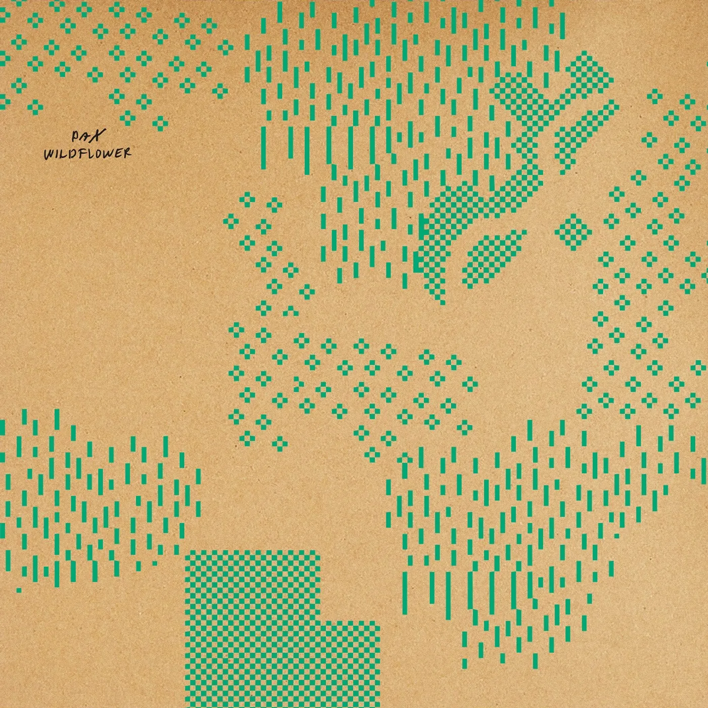Pax Wildflower Vinyl Record