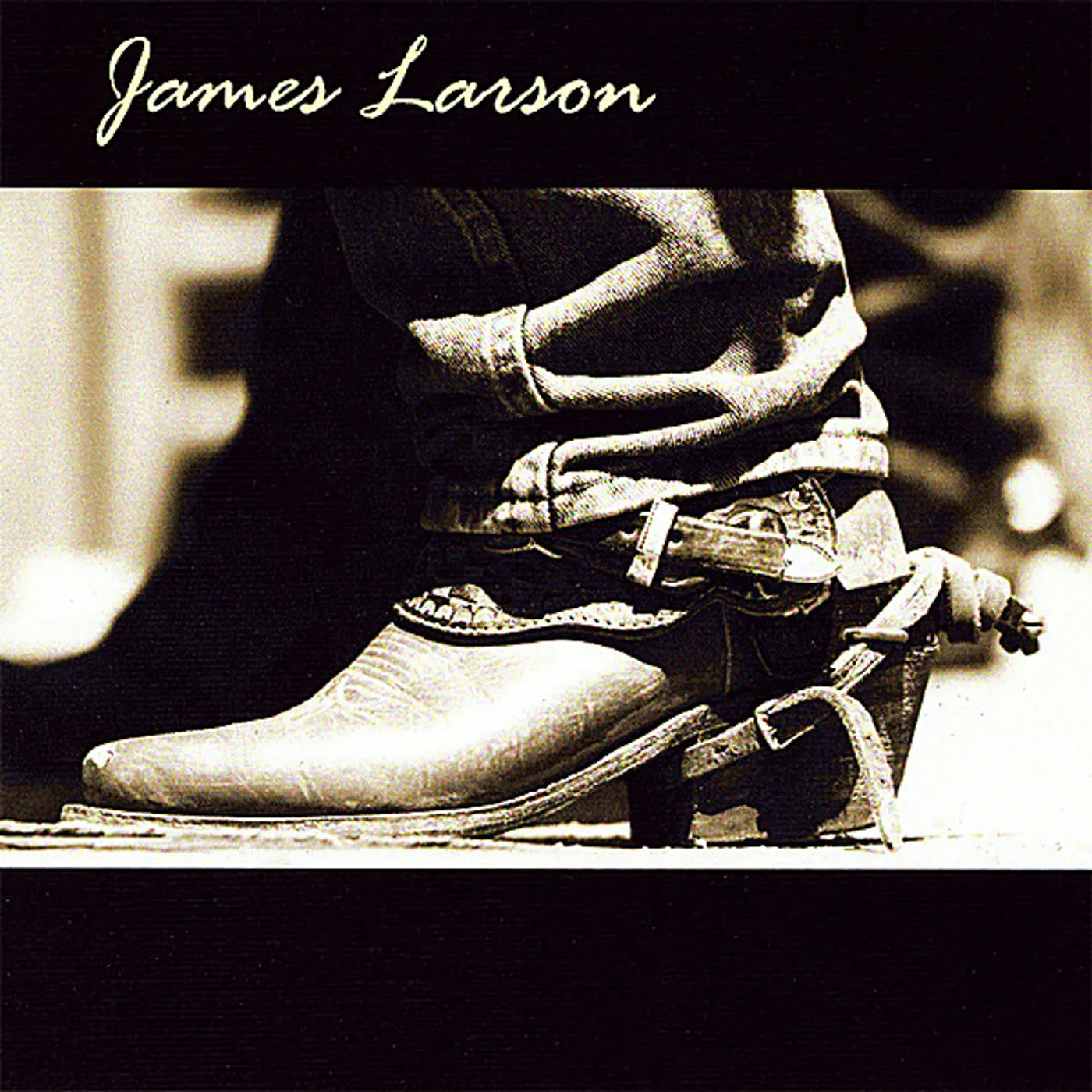 JAMES LARSON CD