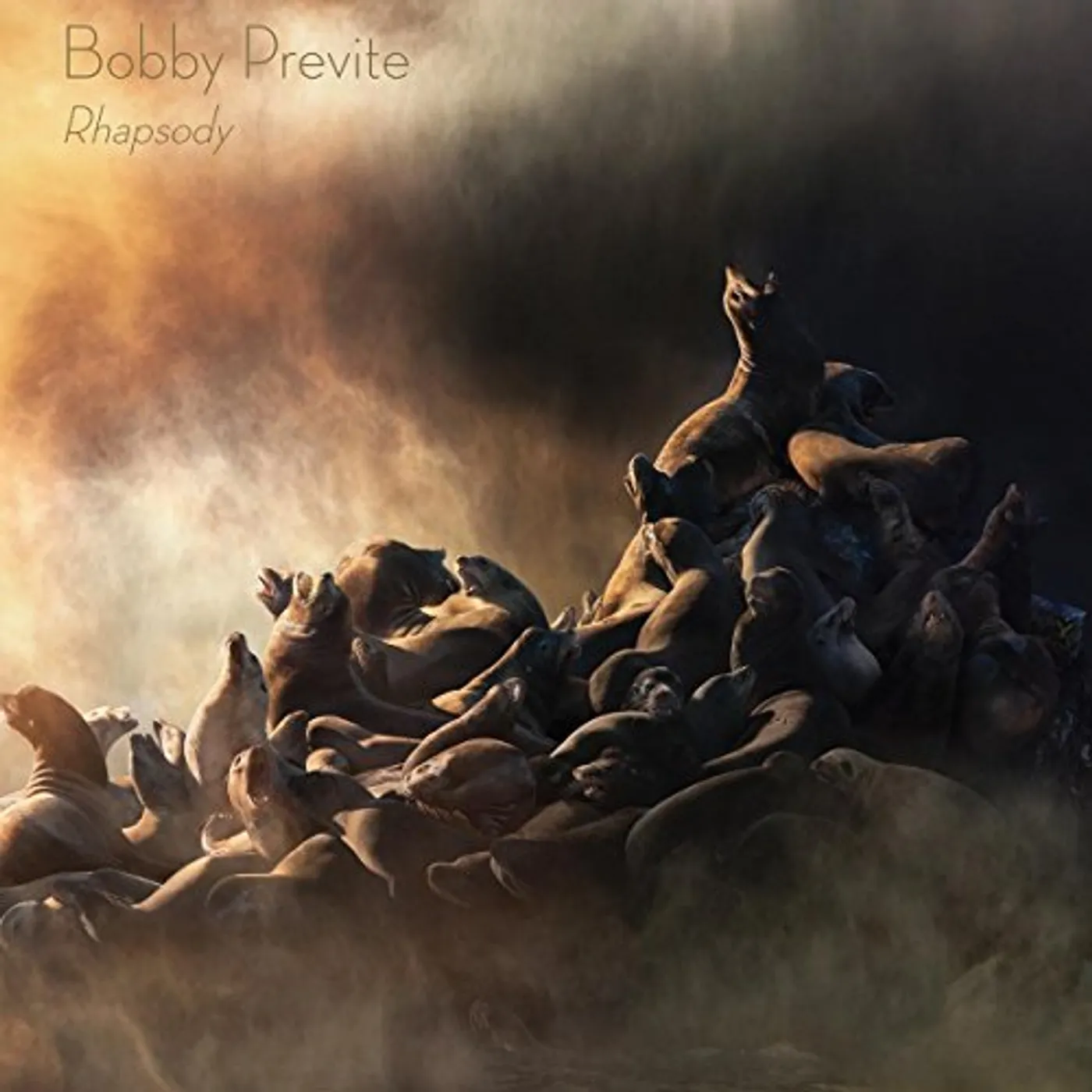 Bobby Previte RHAPSODY CD