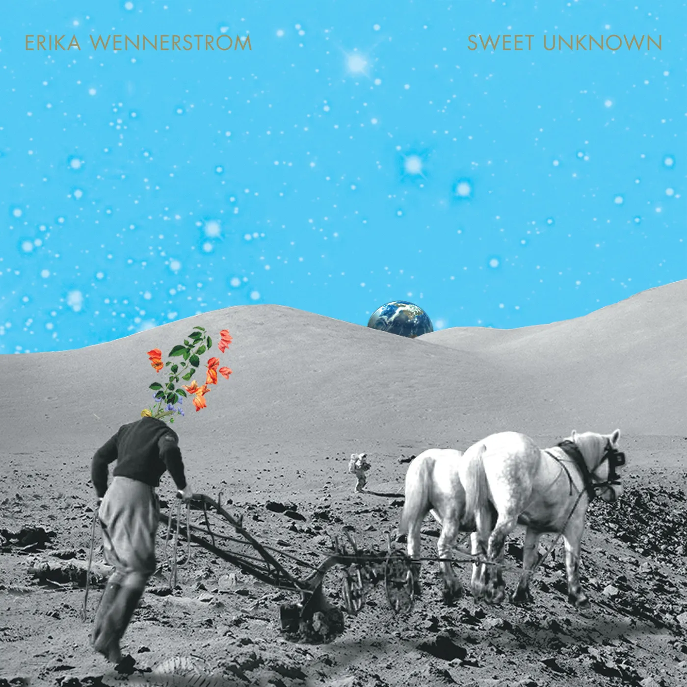 Erika Wennerstrom SWEET UNKNOWN CD