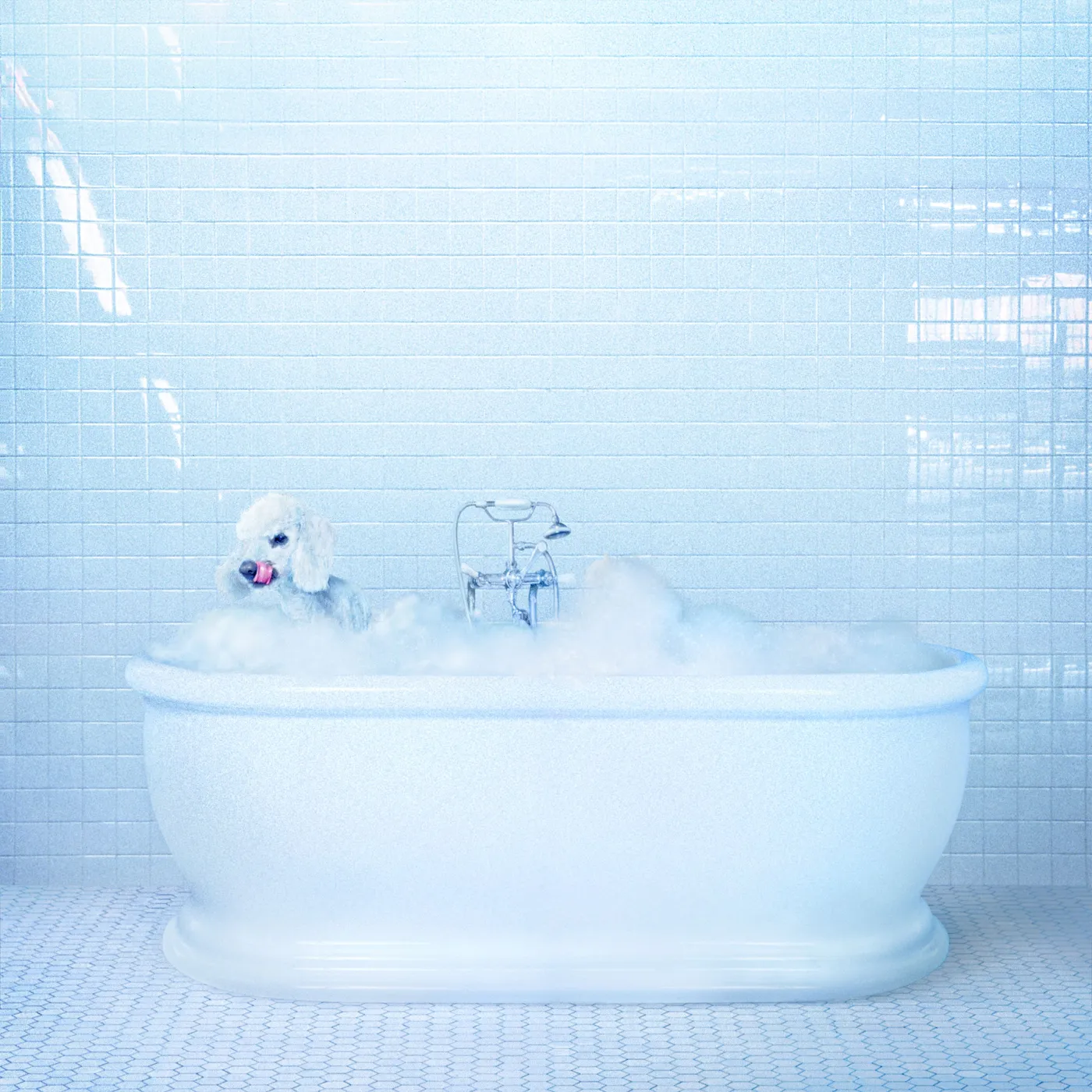 Frankie Cosmos VESSEL CD