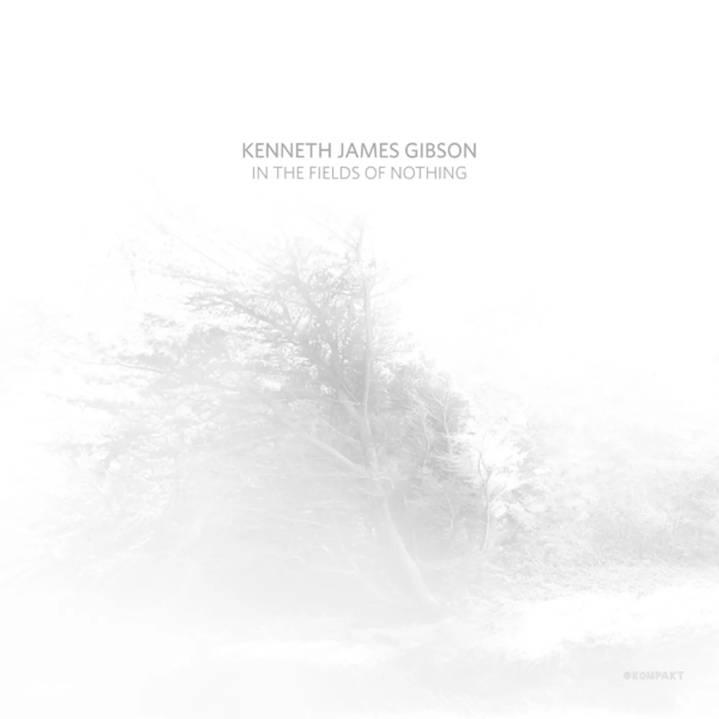 Kenneth James Gibson IN THE FIELDS OF NOTHING CD