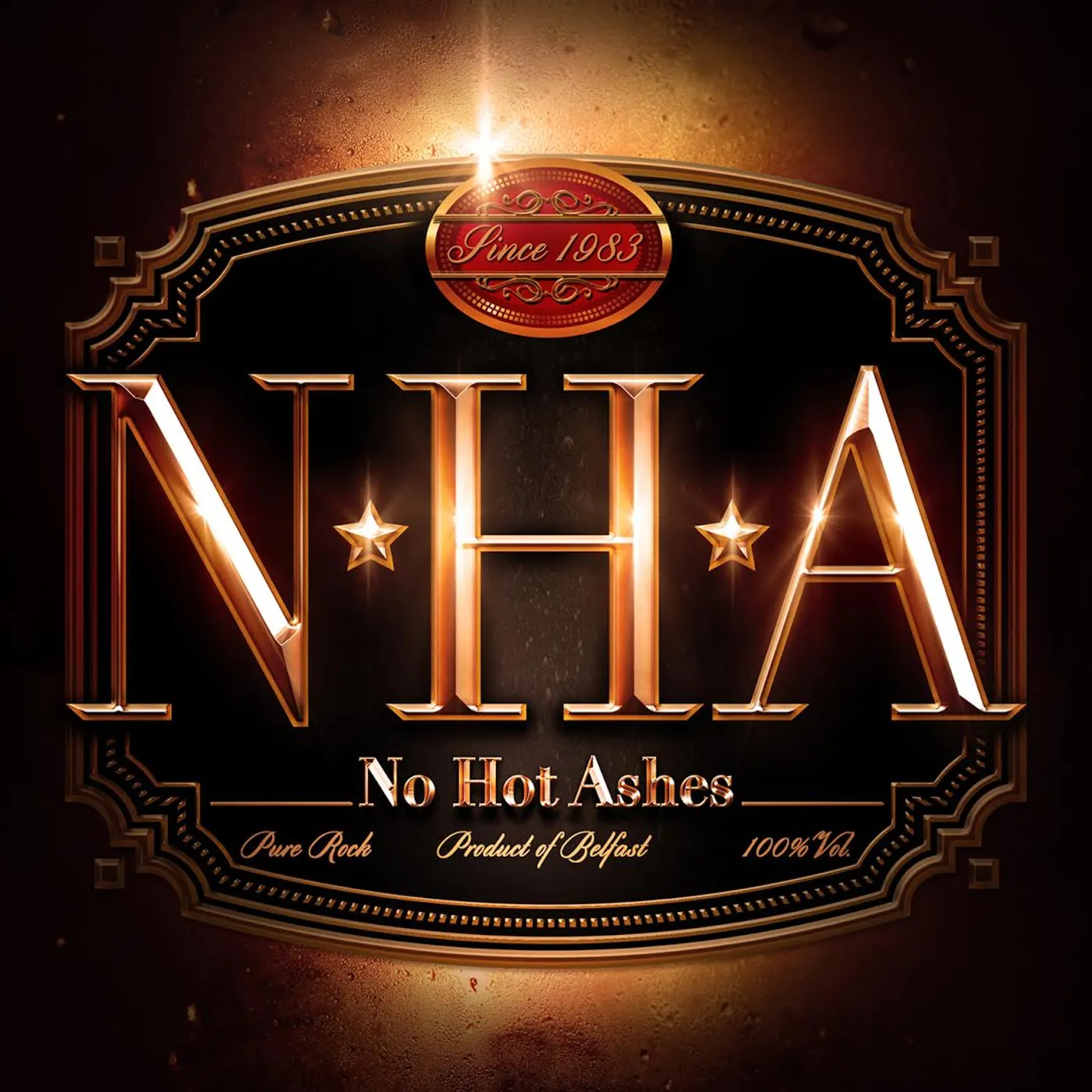 No Hot Ashes Vinyl Record